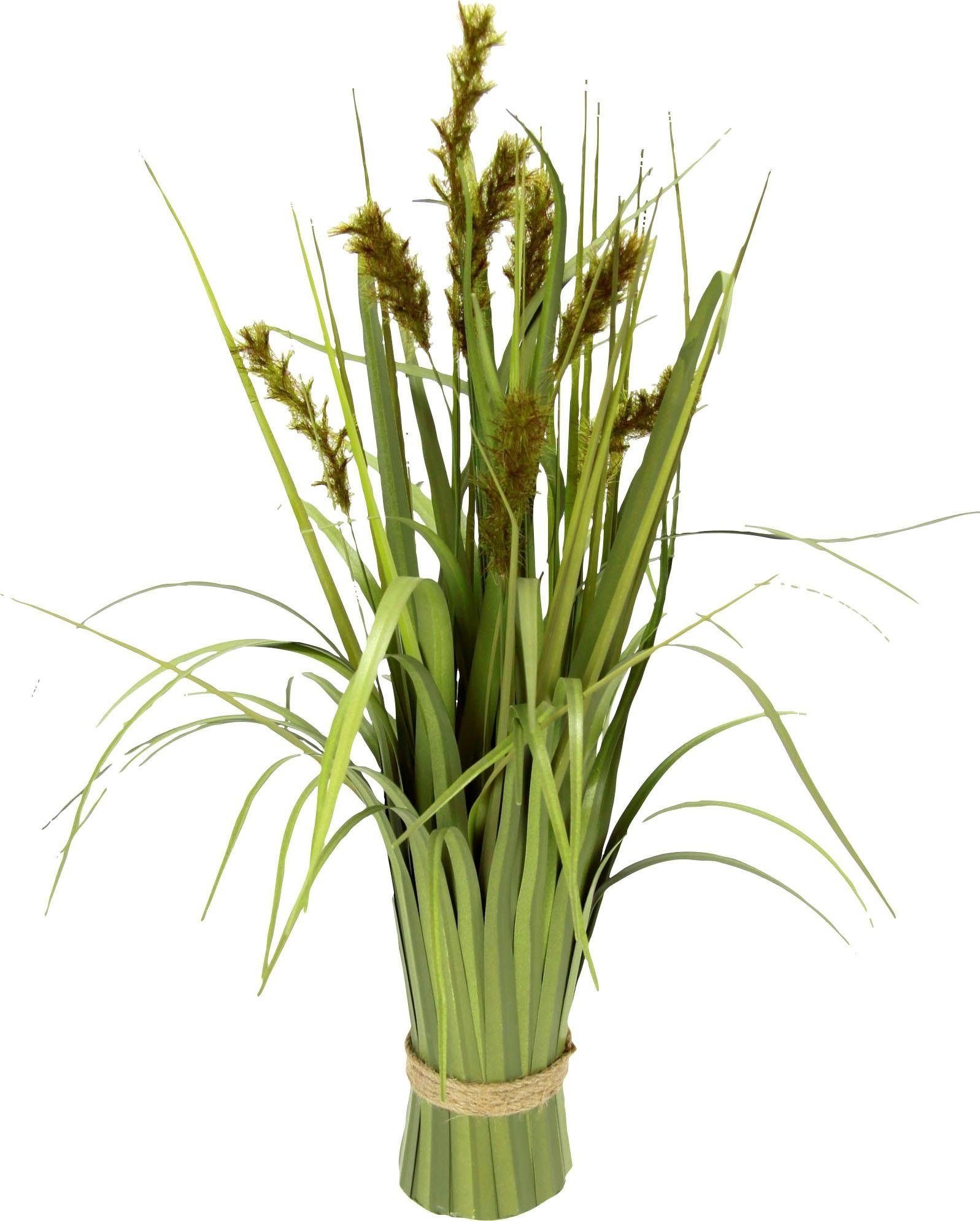 Kunstgras Grasbund Gras/Fuchsschwanzgras, I.GE.A., Höhe 43 günstig online kaufen