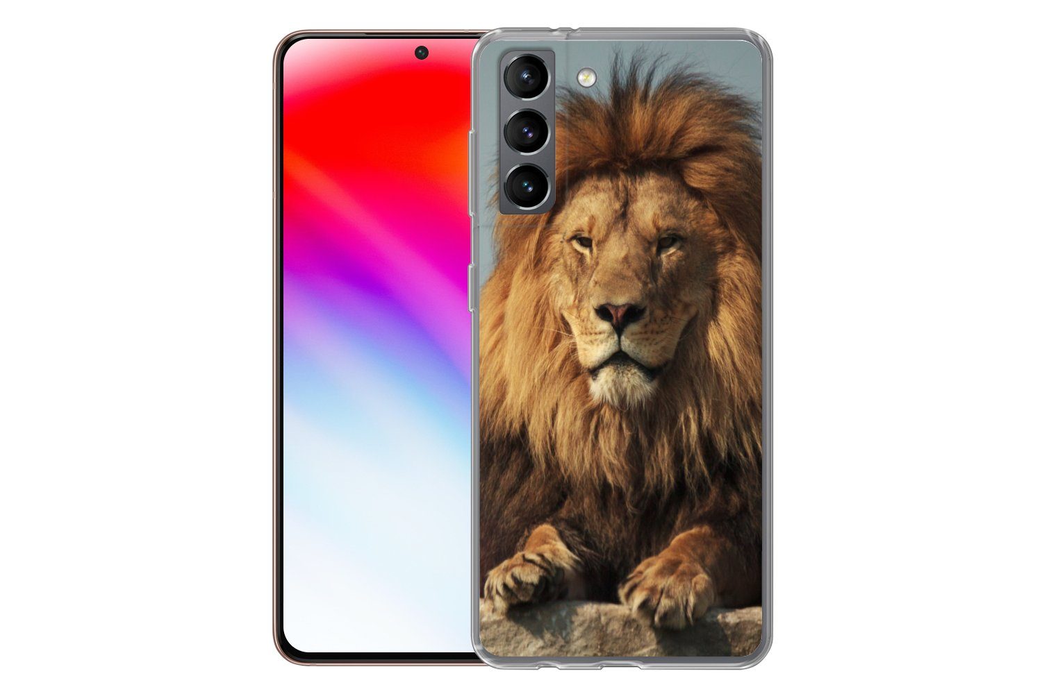 MuchoWow Handyhülle für Samsung Galaxy S21 Löwe - Felsen - Porträt, Phone Case, Silikon, Schutzhülle Dünn