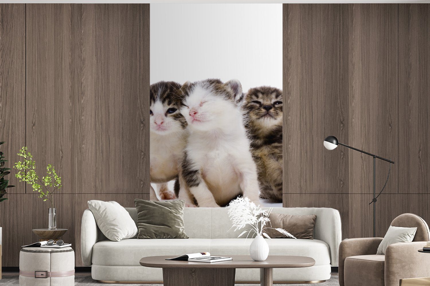 Küche, bedruckt, - (2 Schlafzimmer Haustiere Katze Fototapete Wohnzimmer - St), Fototapete Porträt, - Fell für Vliestapete MuchoWow Matt,