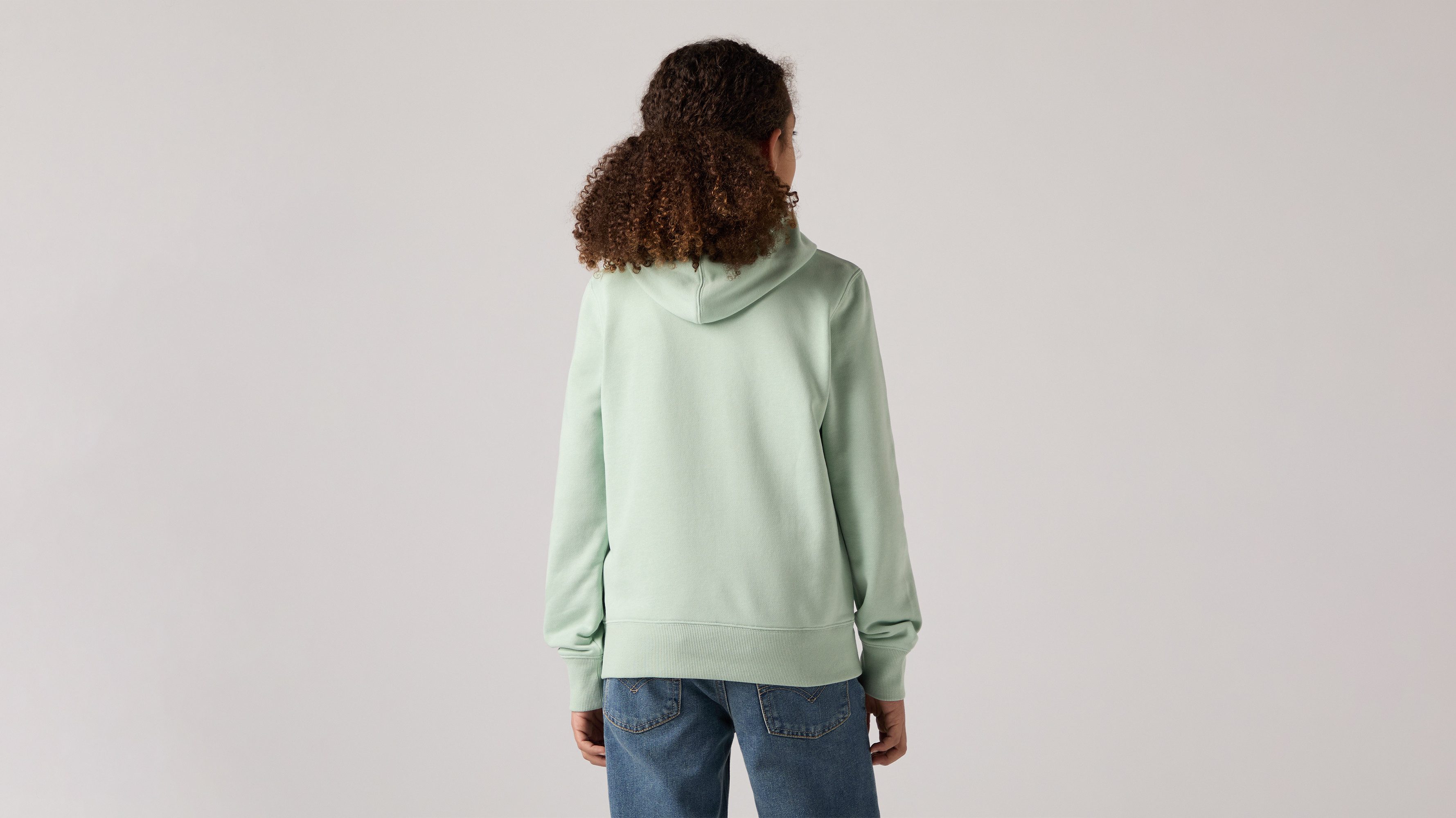 Levi's® Kids Hoodie LVB MINI BATWING PULL OVER HOO for BOYS