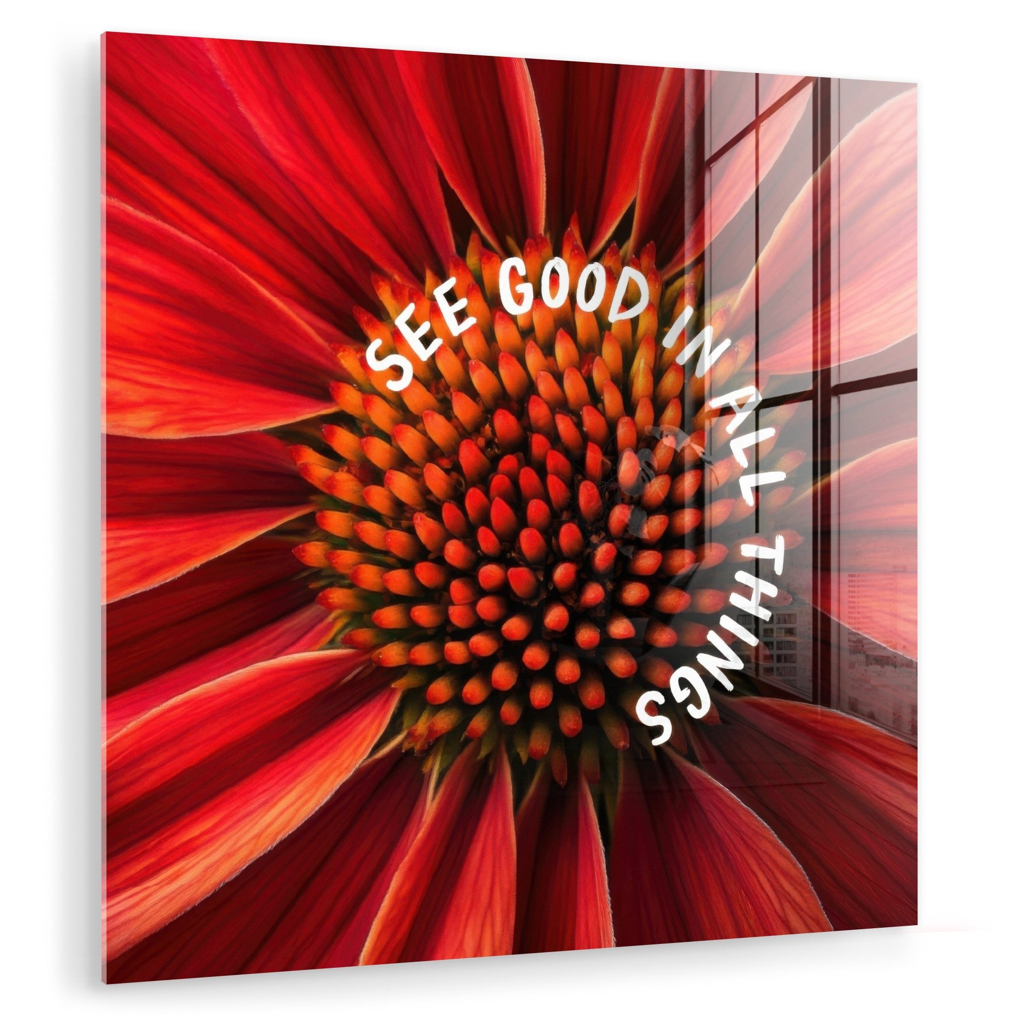 MuchoWow Acrylglasbild Nahaufnahme - Blume - günstig online kaufen