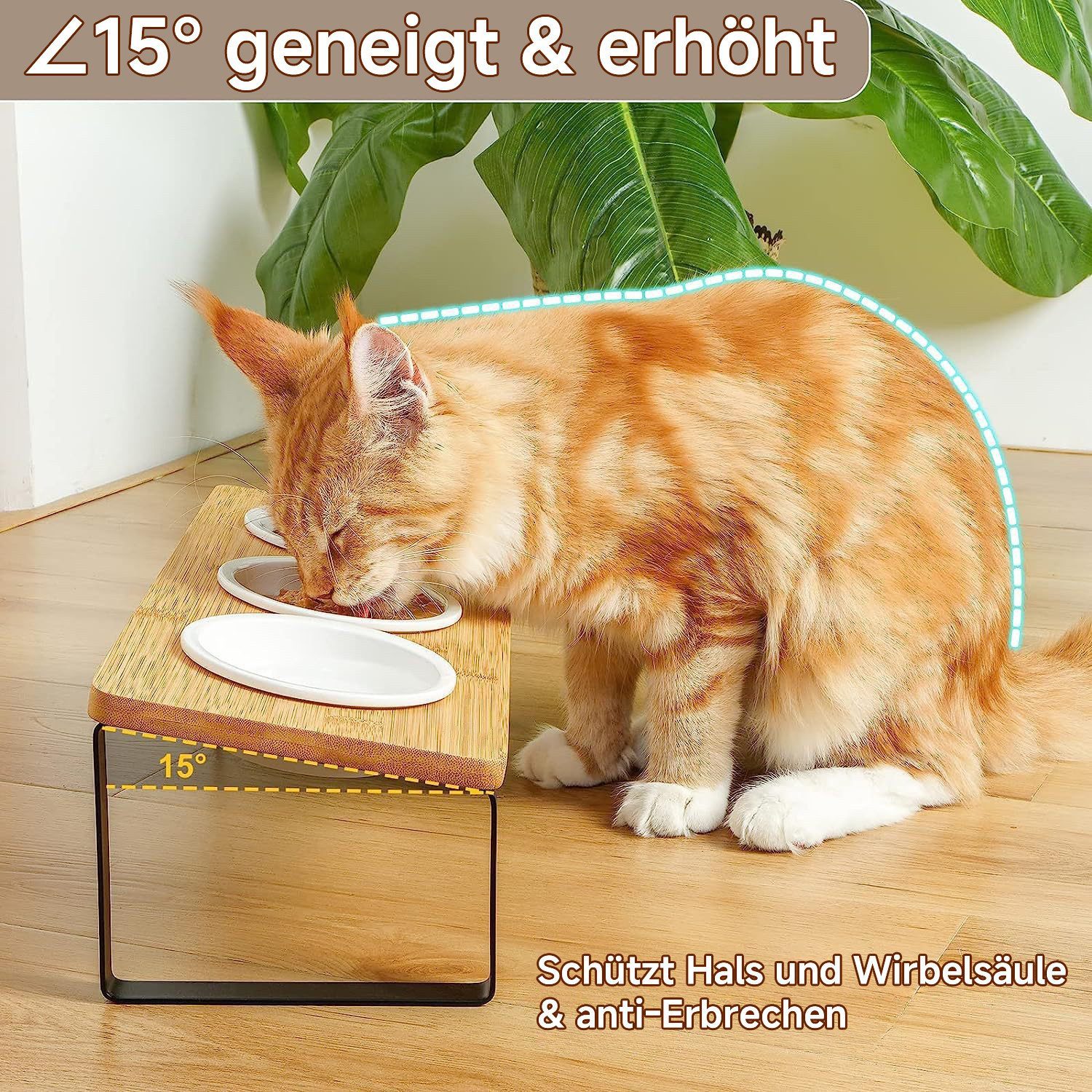 Rywell Futternapf Hundenapf & Katzennapf Futterstation aus Bambus mit Metallgestell, Keramik, 3 Keramiknäpfe à 213ml, Rutschfest, Ergonomisch, Leicht zu Reinigen