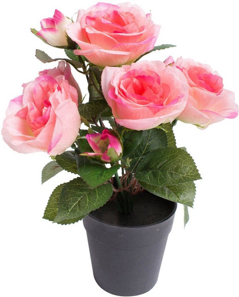 Kunstblume Rosenbusch Rose, Botanic-Haus, Höhe 27 cm, Im Landhaus-Stil