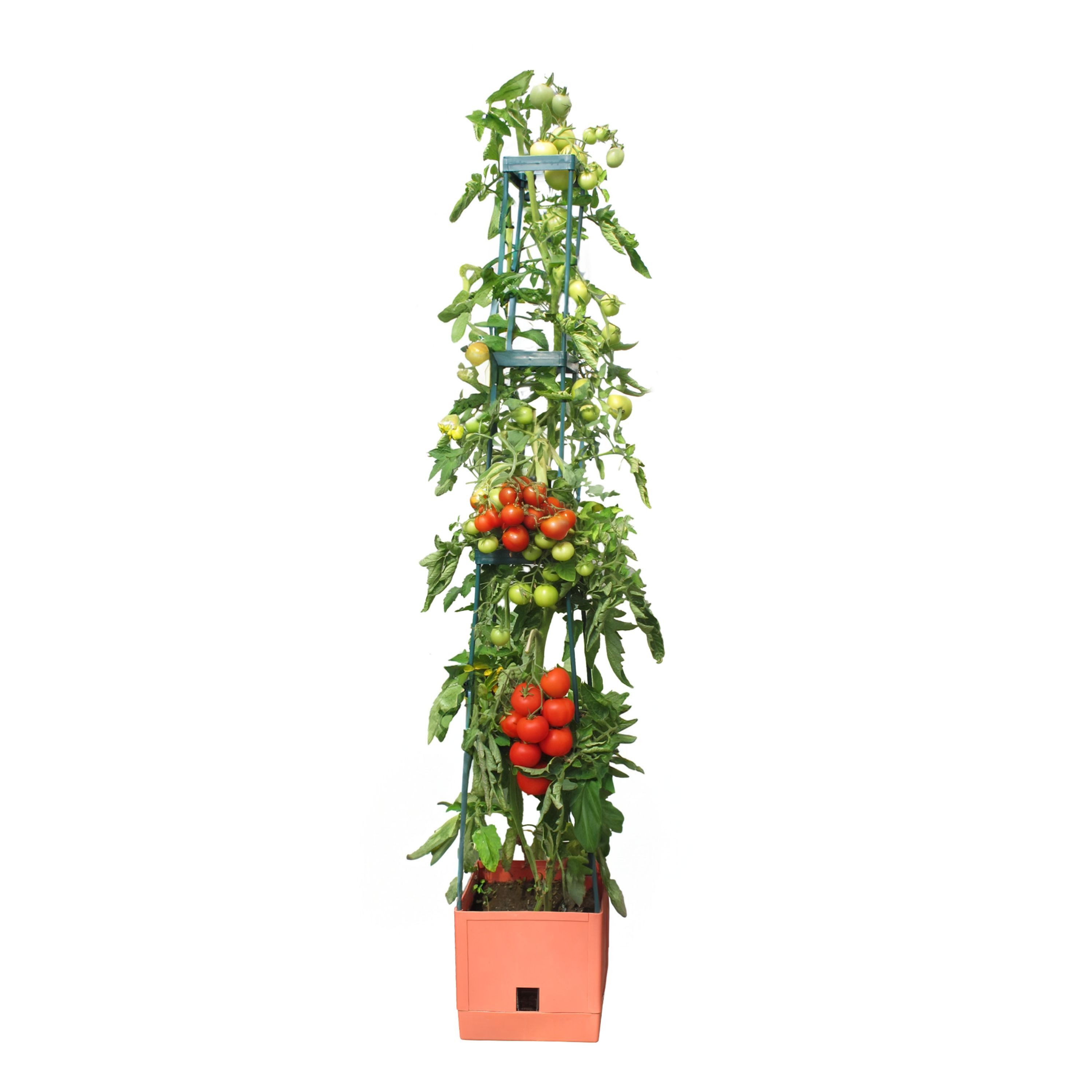 Bio Green Anzuchttopf Pflanzenturm mit Rankhilfe günstig online kaufen