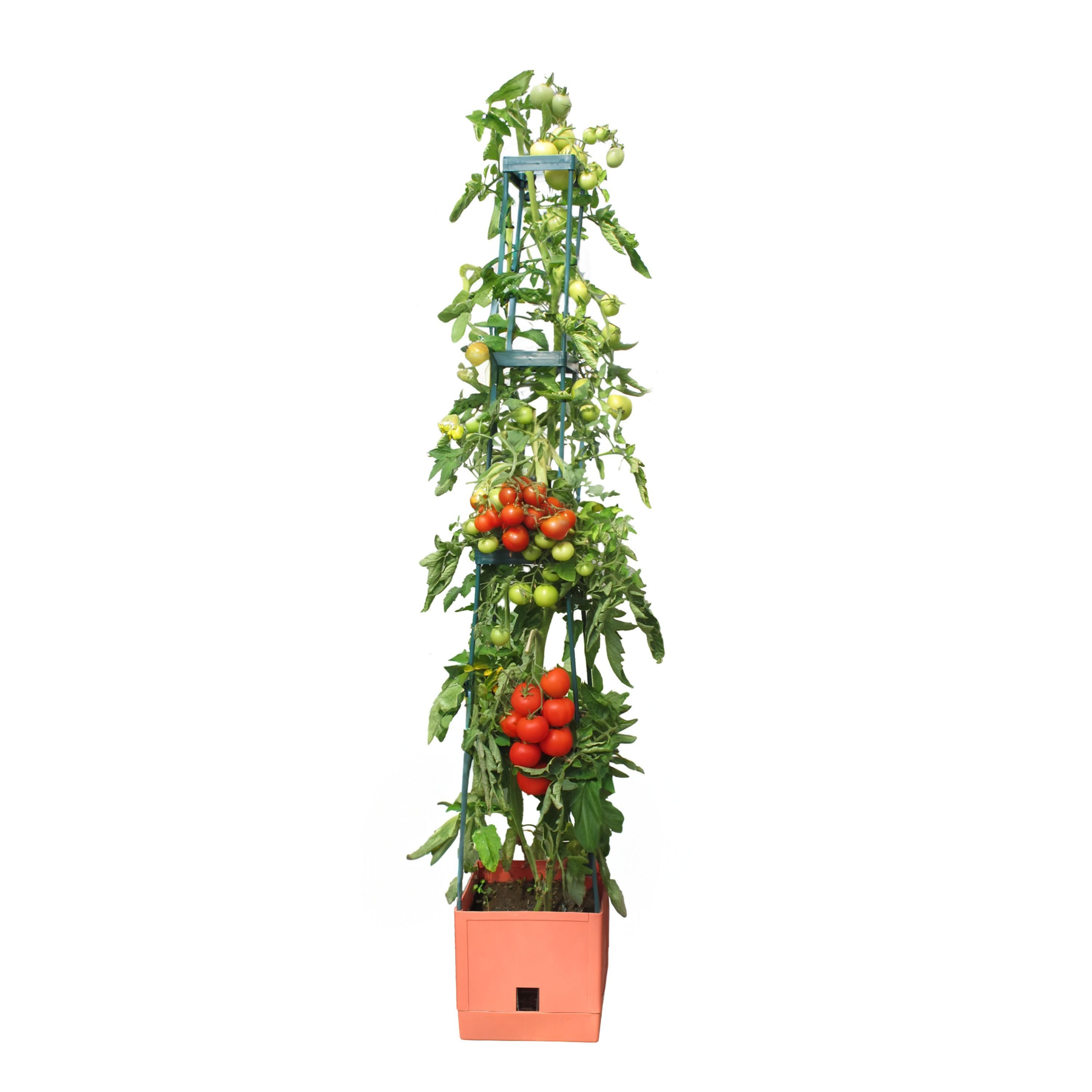 Bio Green Pflanzentreppe Tomaten Pflanzturm mit Rankhilfe in Terrakotta-Stil "Maxitom" 150 cm