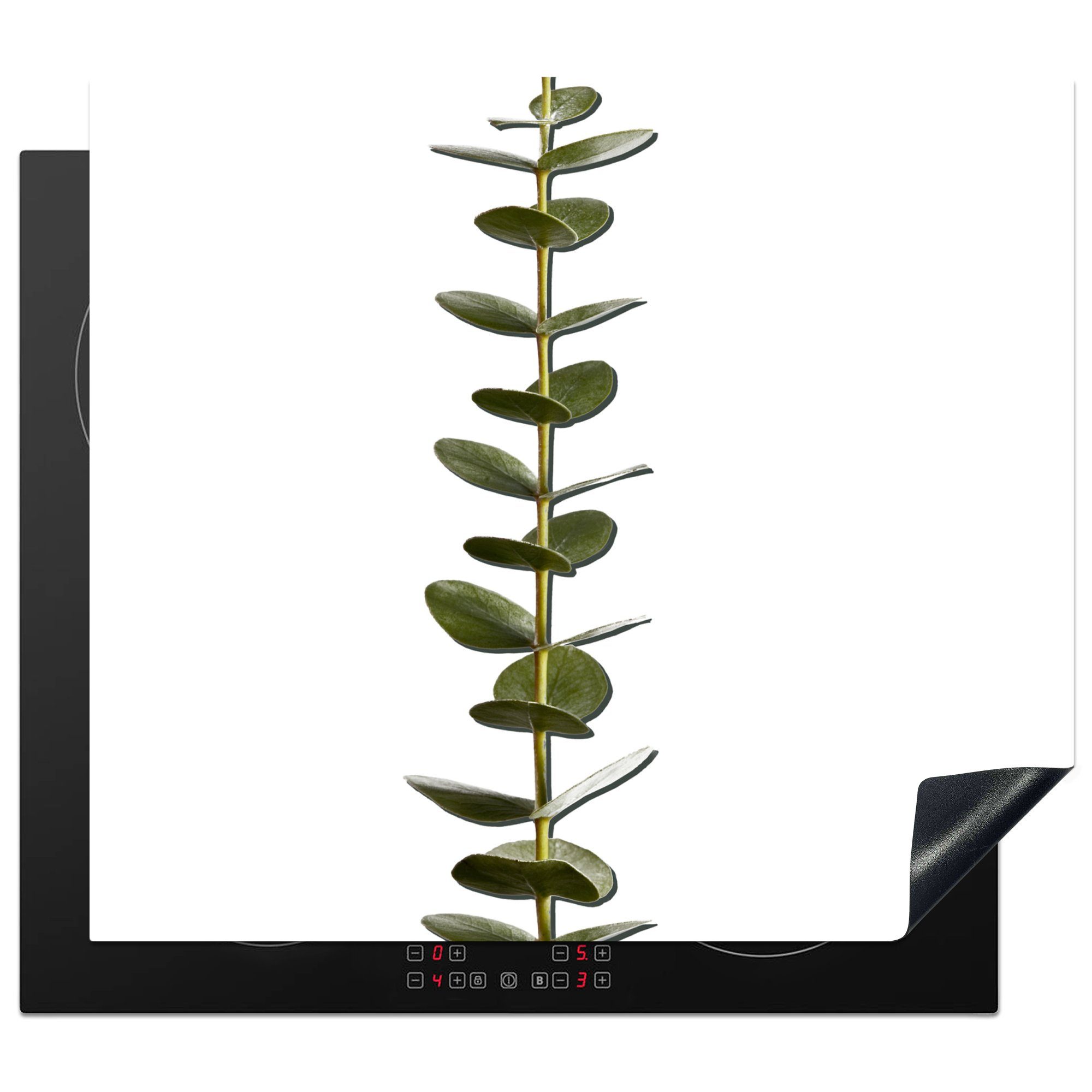60x52 cm, tlg), Blättern, Ceranfeldabdeckung MuchoWow Eukalyptusstamm Herdblende-/Abdeckplatte (1 Vinyl, Arbeitsfläche mit nutzbar, Mobile
