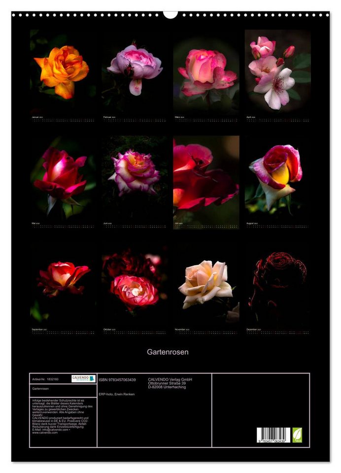 Thumbnail - CALVENDO Wandkalender Gartenrosen (Wandkalender 2025 DIN A2 hoch), CALVENDO Monatskalender
