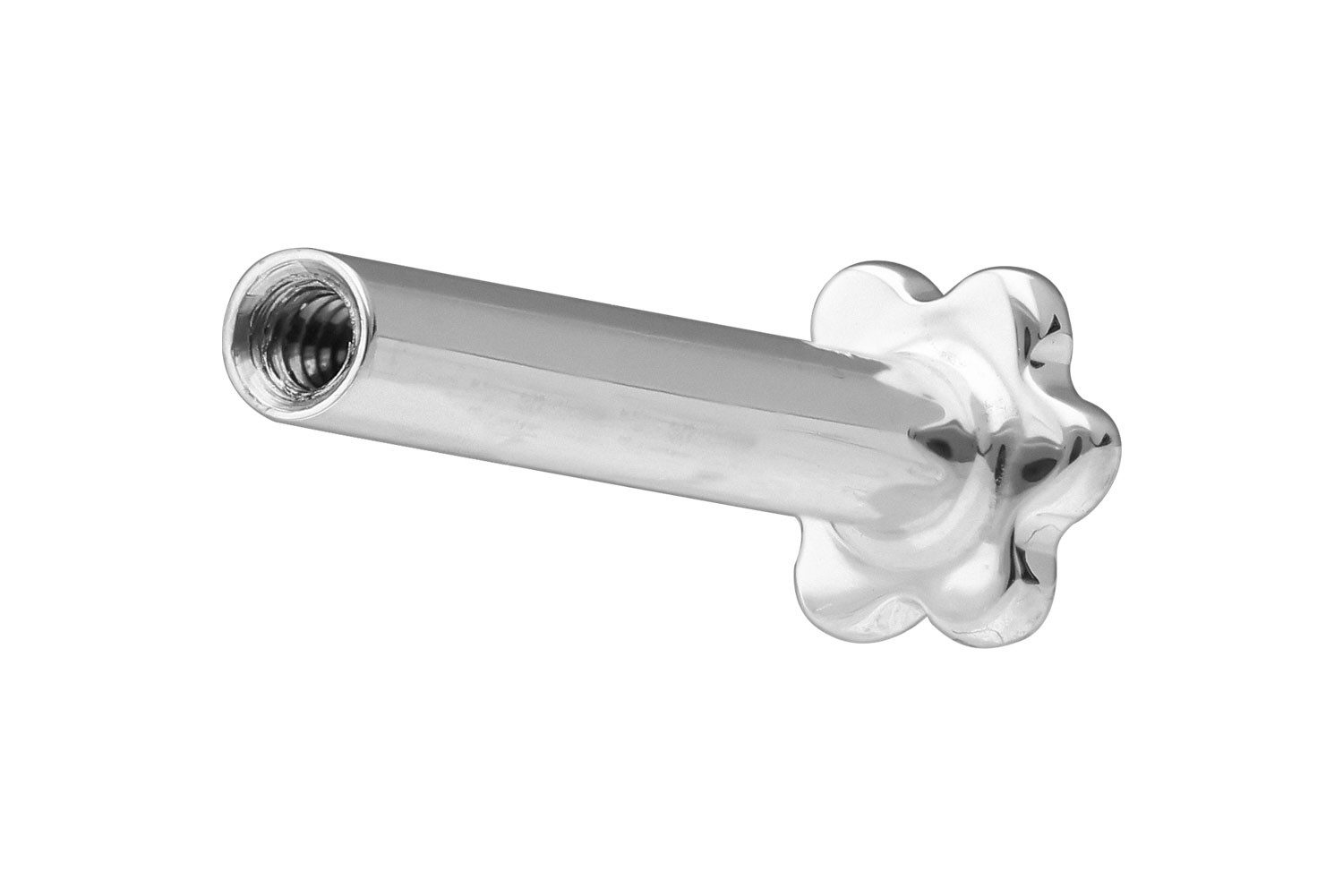PIERCINGLINE Piercing-Set 14 Karat Gold Labret günstig online kaufen