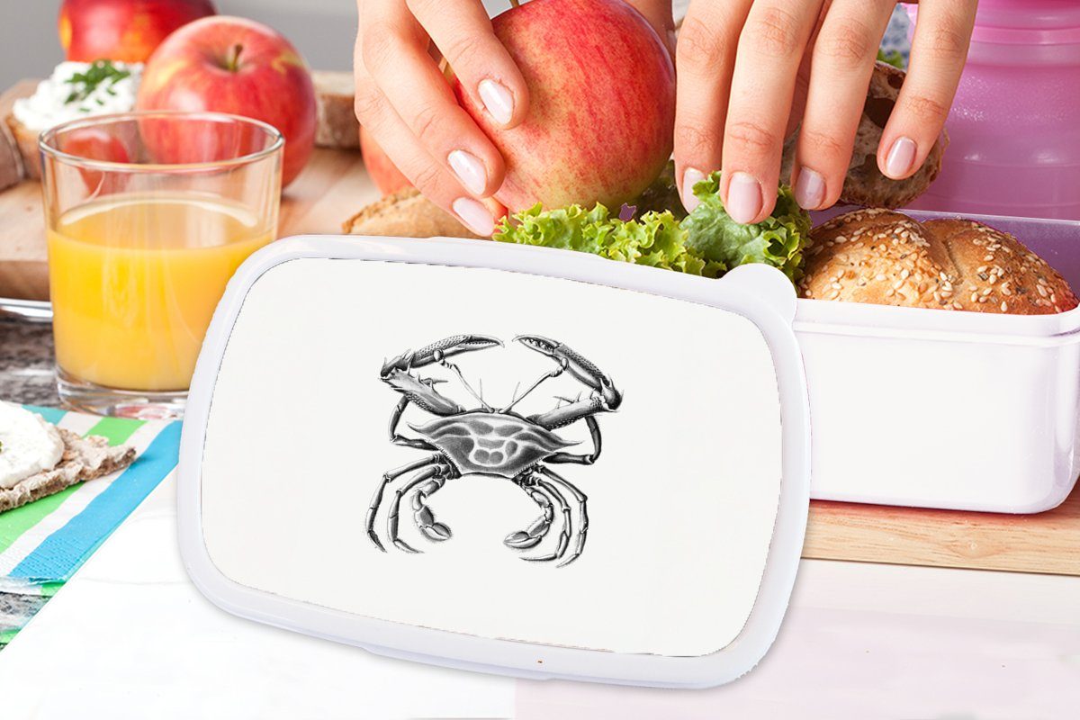 Kunst (2-tlg), Brotdose, für - MuchoWow weiß Haeckel Erwachsene, und Krabbe, Ernst Jungs Lunchbox für - Kunststoff, Brotbox - Mädchen Jahrgang und Kinder