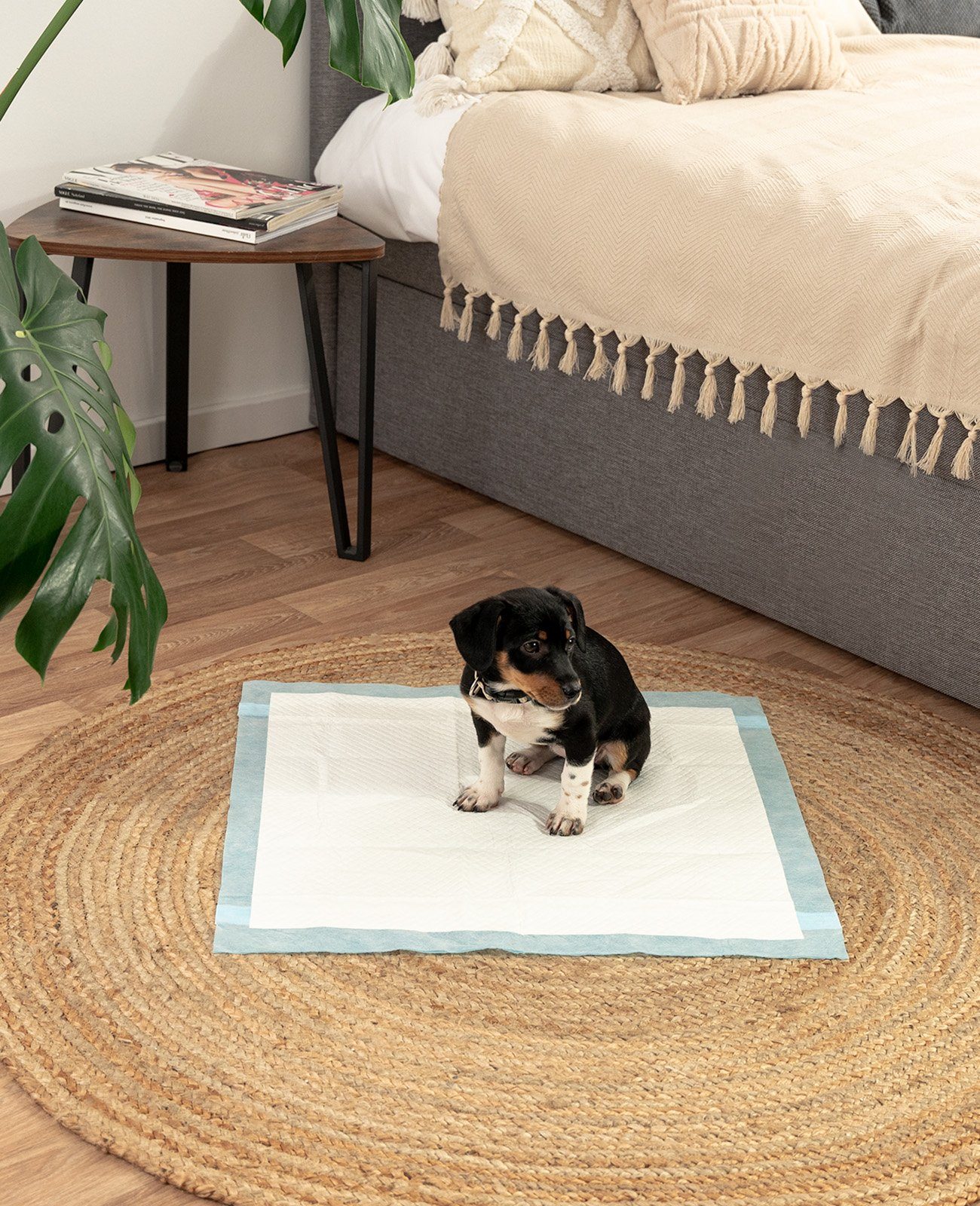 lionto Hundematte lionto Welpenunterlage Hygieneunterlage für günstig online kaufen