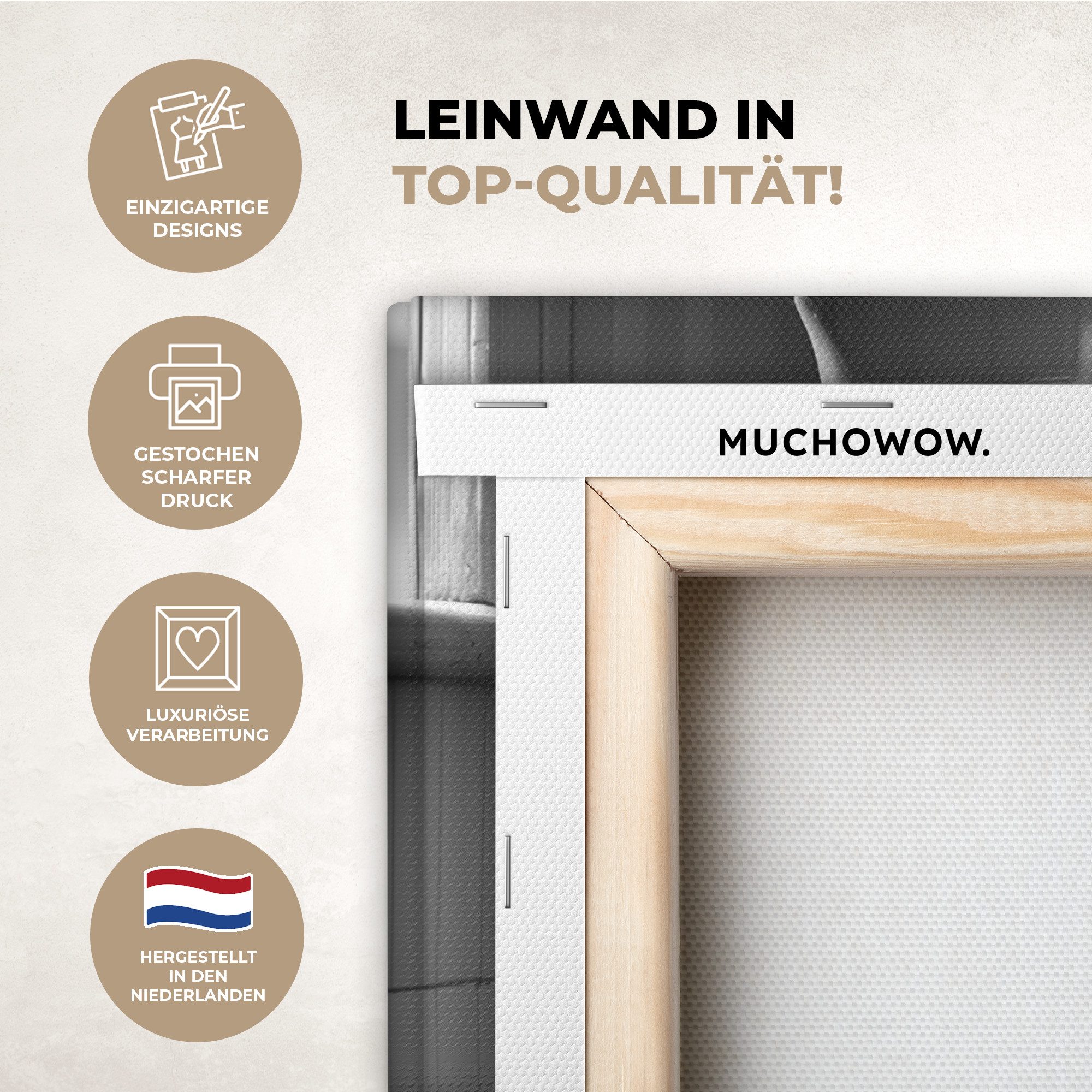 OneMillionCanvasses® Leinwandbild Scottish Highlander - Kuh - Zeitung - WC günstig online kaufen