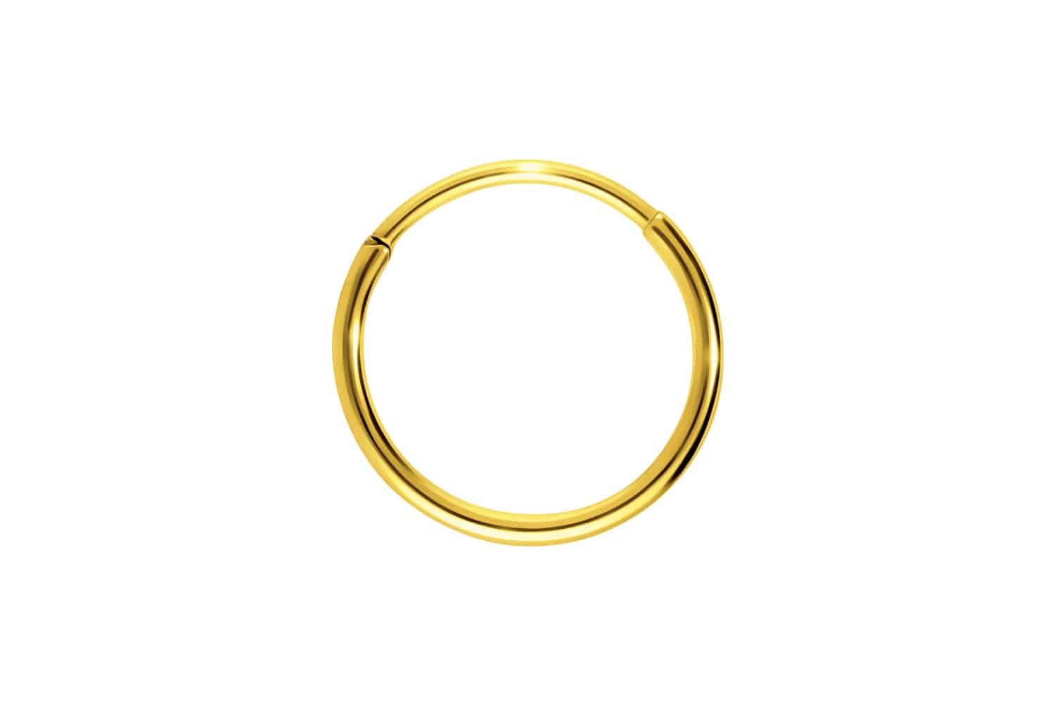 PIERCINGLINE Nasenpiercing Titan Segmentring Clicker Ohrpiercing Septum Nas günstig online kaufen