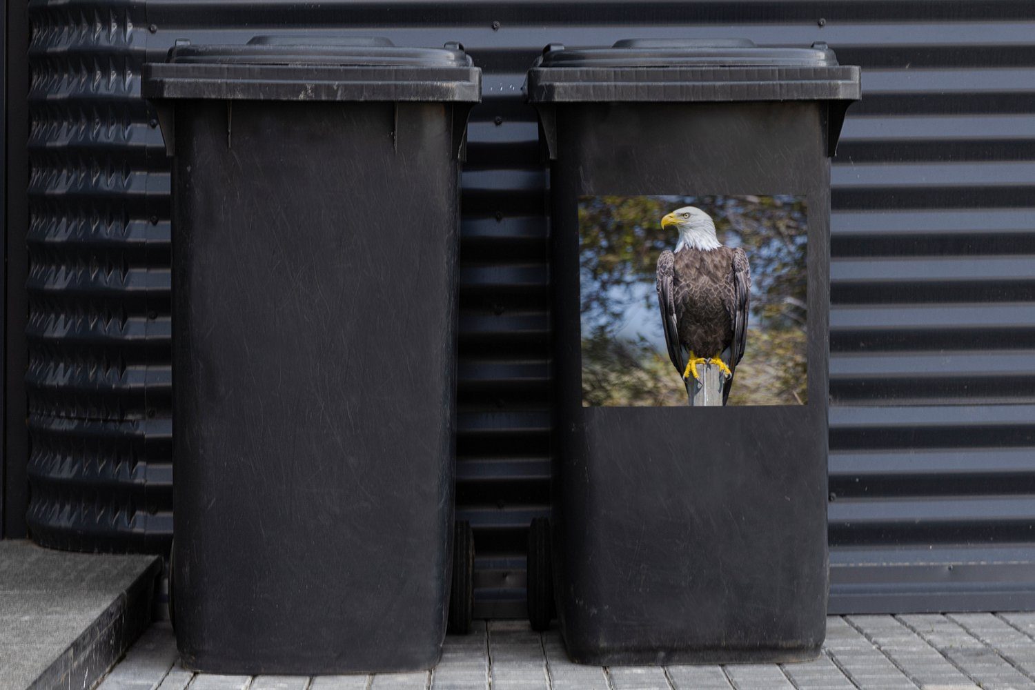MuchoWow Weißkopfseeadler Container, Abfalbehälter Mülleimer-aufkleber, Wandsticker Stange Sticker, Ein St), schaut einer auf zur Seite Mülltonne, (1