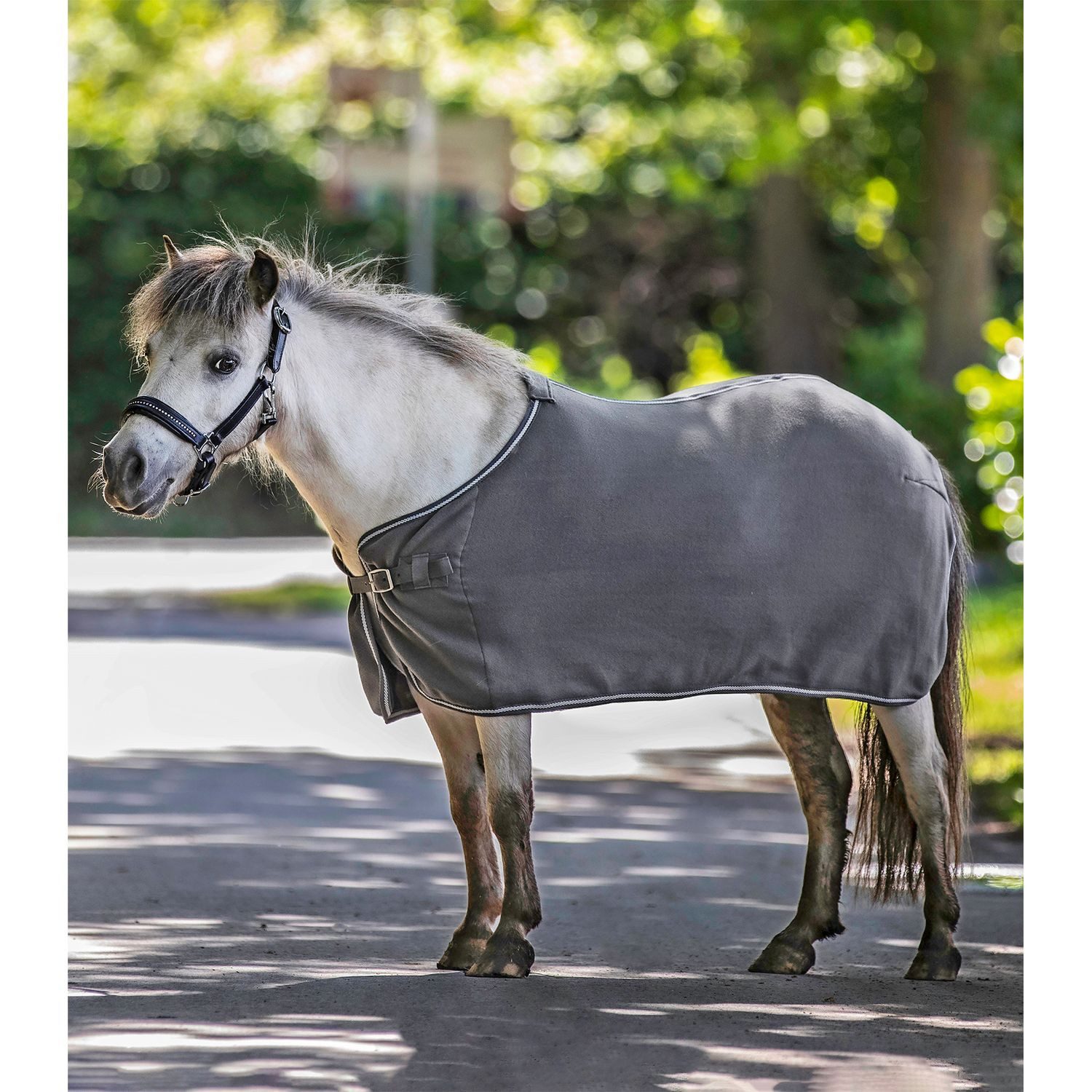 Waldhausen Pferde-Abschwitzdecke Waldhausen Fleecedecke Economic