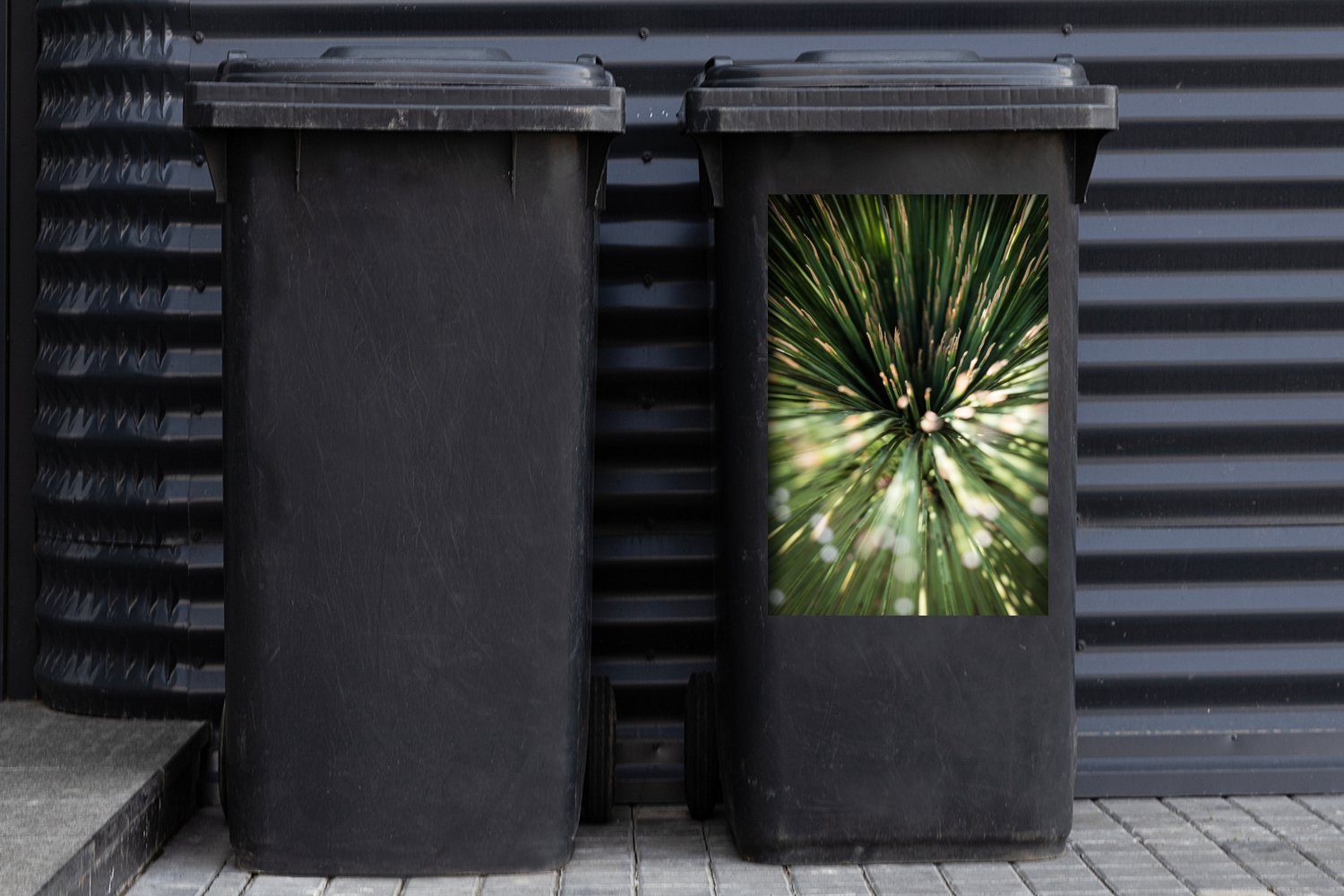 Abstrakt (1 - - Sticker, Kaktus MuchoWow Container, Mülleimer-aufkleber, Wandsticker Pflanze Mülltonne, Abfalbehälter St),