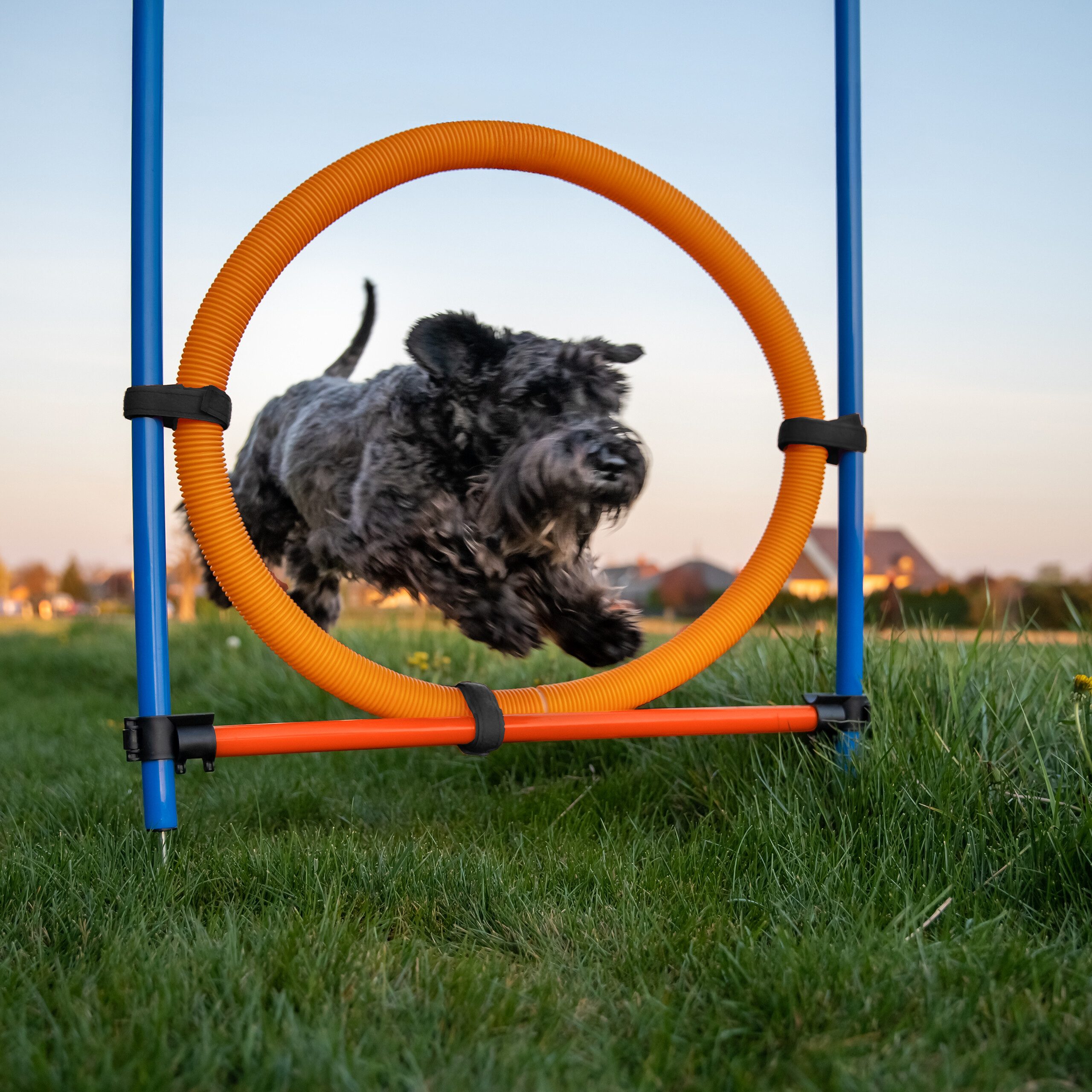 relaxdays Agility-Slalom Agility Set für Hunde, Kunststoff, (76-tlg)