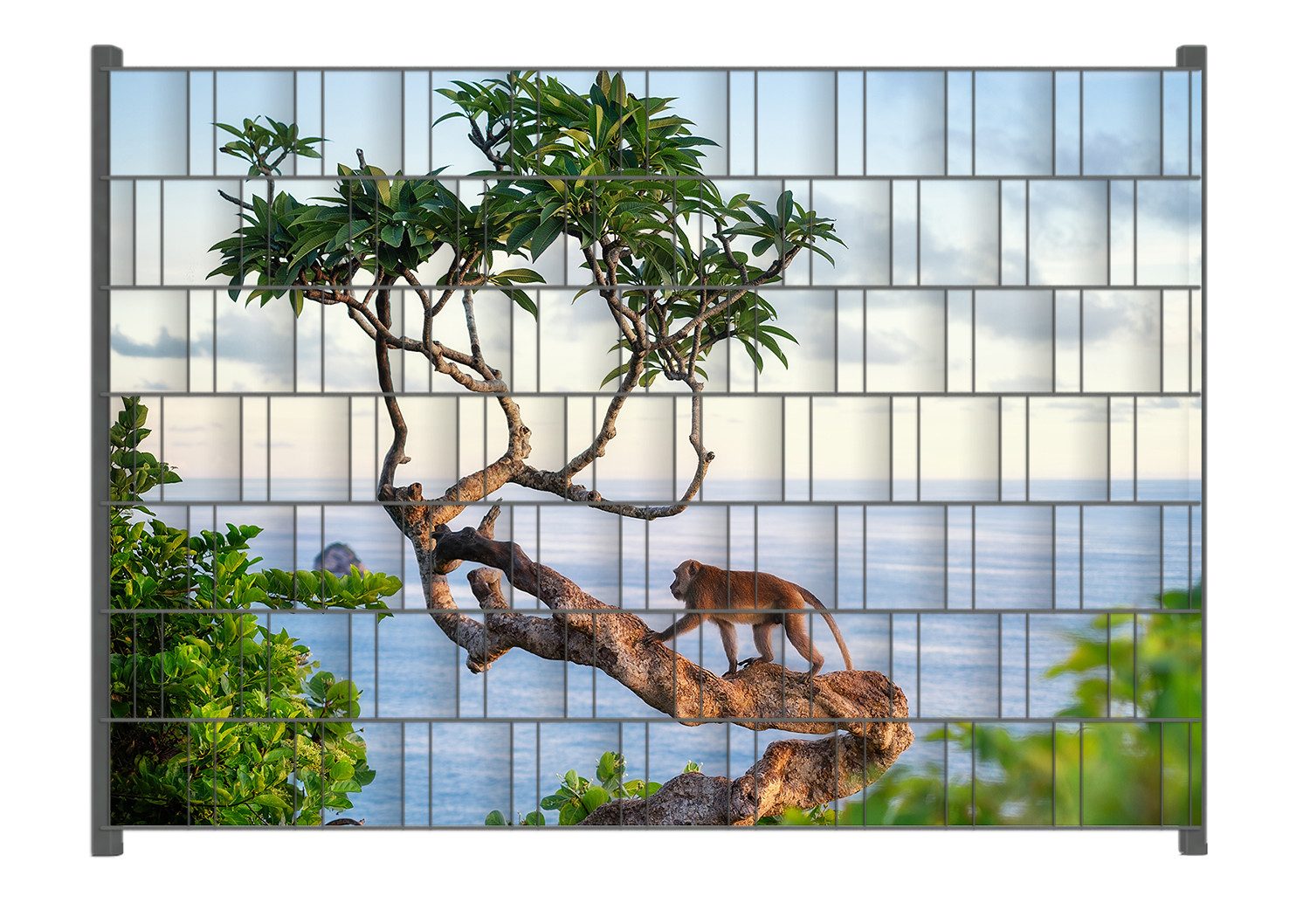 Wallario Sichtschutzstreifen Affe auf Baum, für Stabmattenzäune geeignet