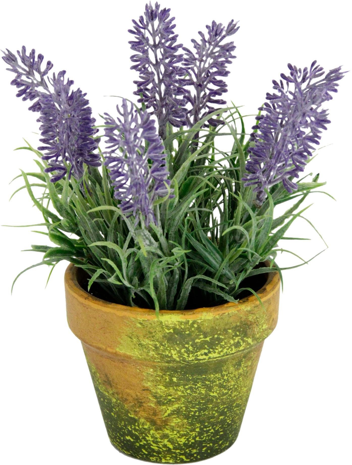 Kunstblume Lavendel, I.GE.A., Höhe 16 cm, im Topf
