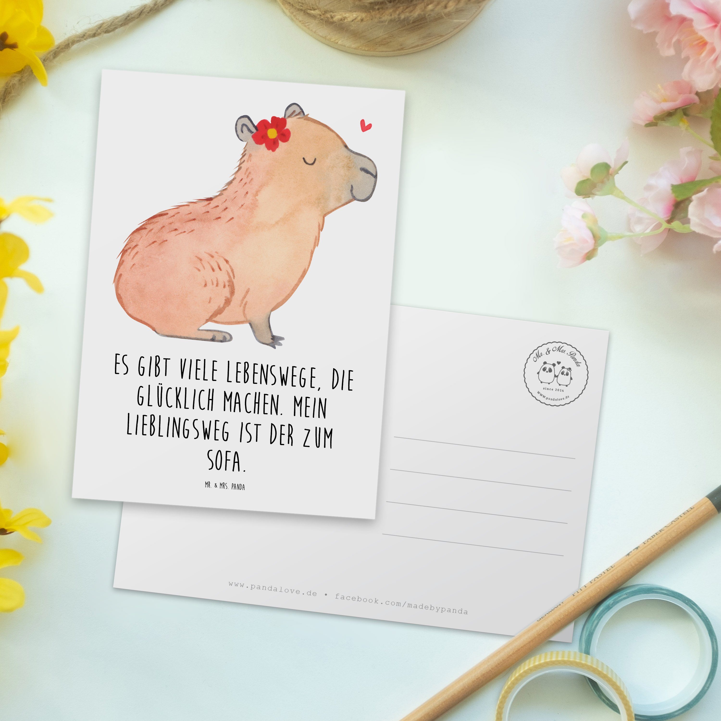 Panda Capybara Sprüche, - - Postkarte Mr. & Mrs. Blume Geschenk, Weiß lustige Karte Tiermotive,