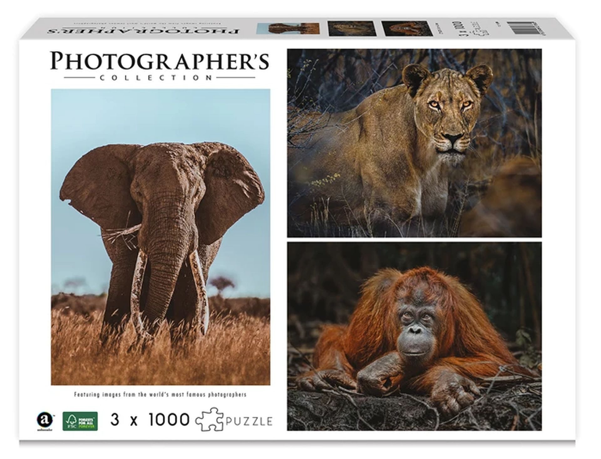 ambassador Puzzle Wildtiere Blickkontakt 3x1000 Teile (Donal Boyd), Puzzleteile