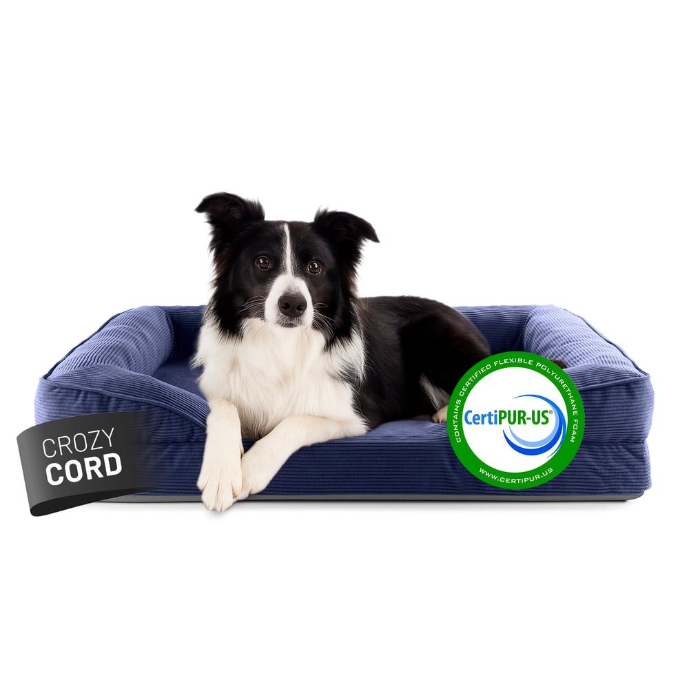 Lumaland Hundebett Hundebett Indoor Cord M 90x65x18cm dunkelblau vakuumiert, Hundesofa orthopädisch Hundekorb Tierbett waschbar hoher Rand