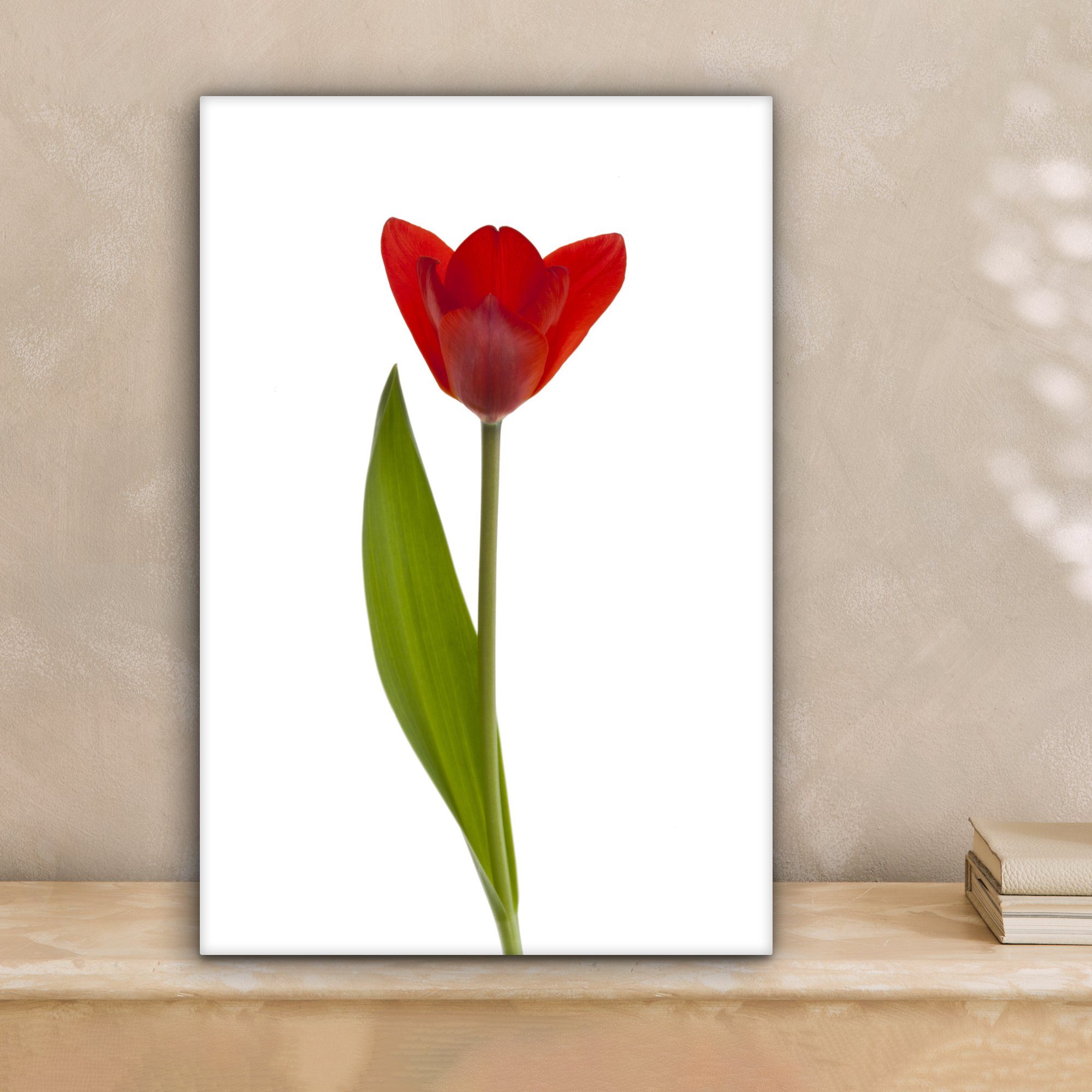 Hintergrund, Rote Zackenaufhänger, Leinwandbild bespannt Tulpe cm Gemälde, inkl. Leinwandbild (1 OneMillionCanvasses® fertig St), vor weißem 20x30