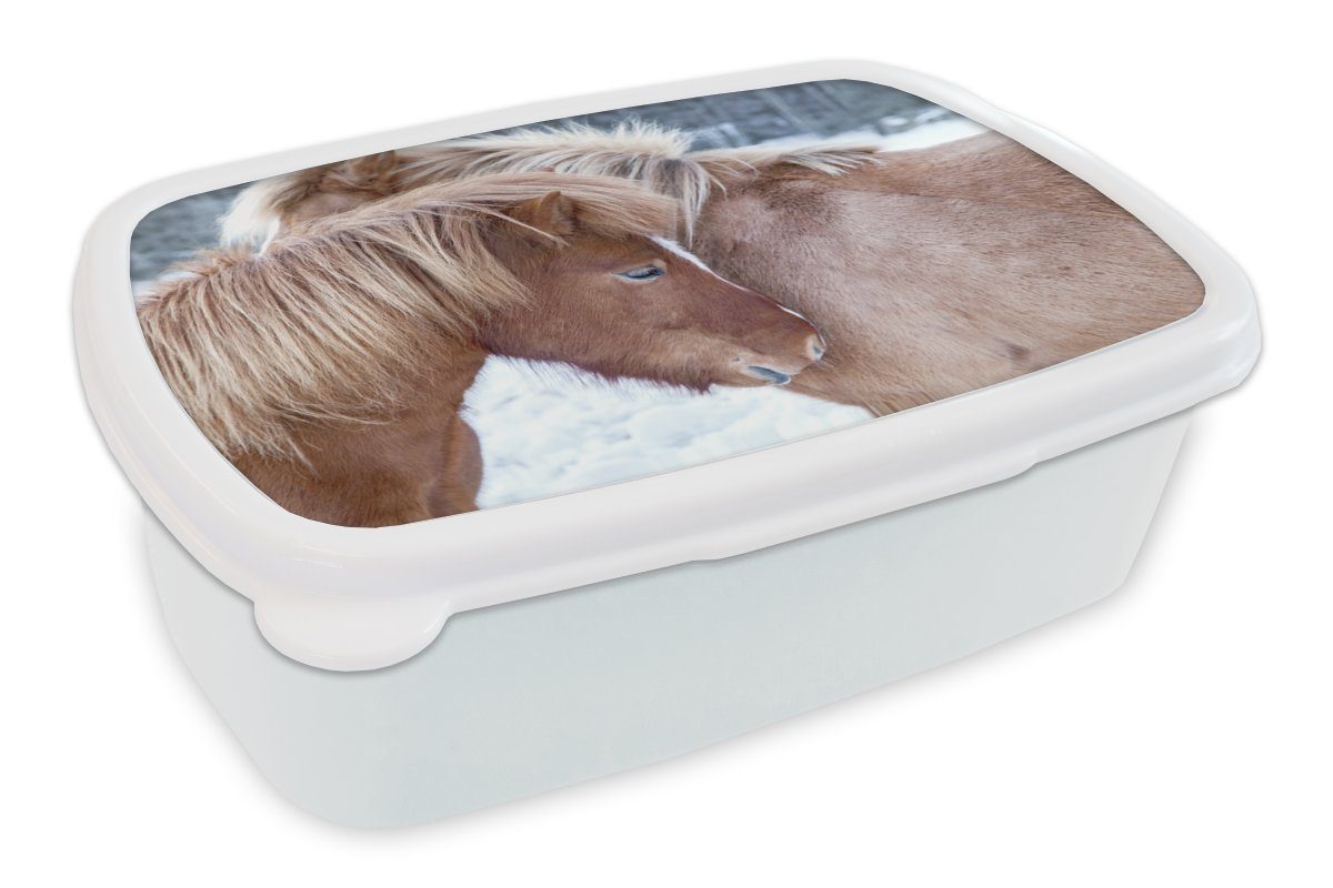 Lunchbox für Brotbox - Brotdose, Fohlen Pferde und Schnee, - Jungs weiß Kunststoff, Mädchen Erwachsene, (2-tlg), MuchoWow für Kinder und
