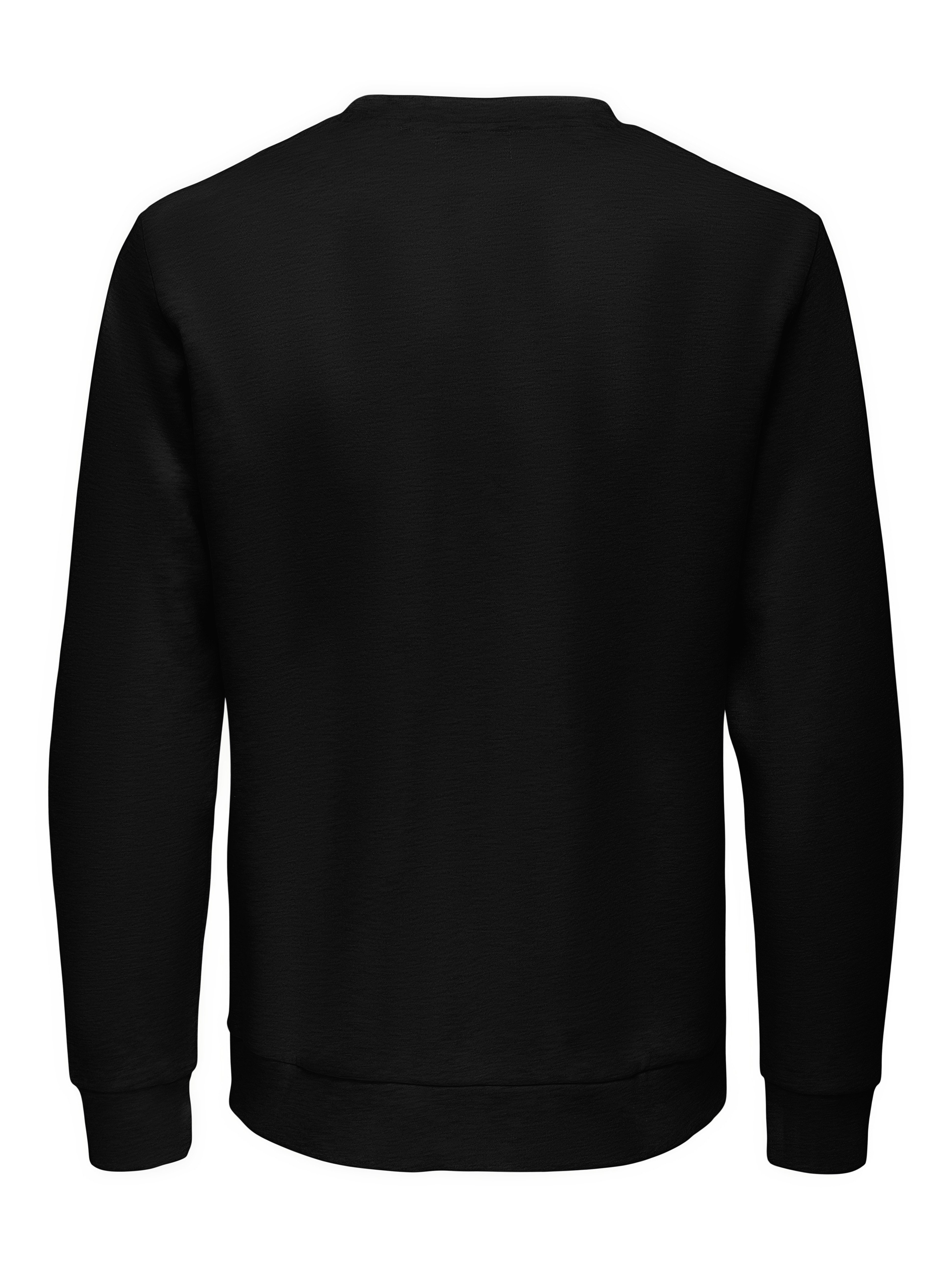 ONLY & SONS Sweatshirt ONSCHASE REG günstig online kaufen