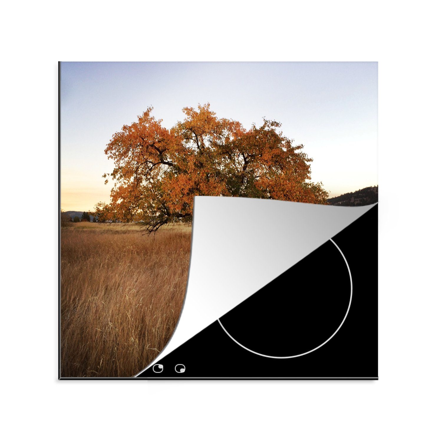 MuchoWow Herdblende-/Abdeckplatte Apfelbaum - Herbst - Wiese, Vinyl, (1 tlg), 78x78 cm, Ceranfeldabdeckung, Arbeitsplatte für küche
