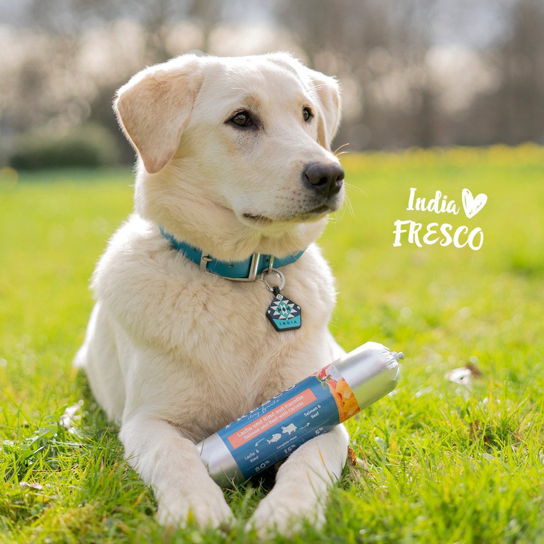 Fresco Dog BARF Hundewurst schnittfest Lachs mit Rind I 2 x 400g, Nassfutter für: Hunde, 80% Frischfleisch mit Karotte, Kürbis & Spirulina