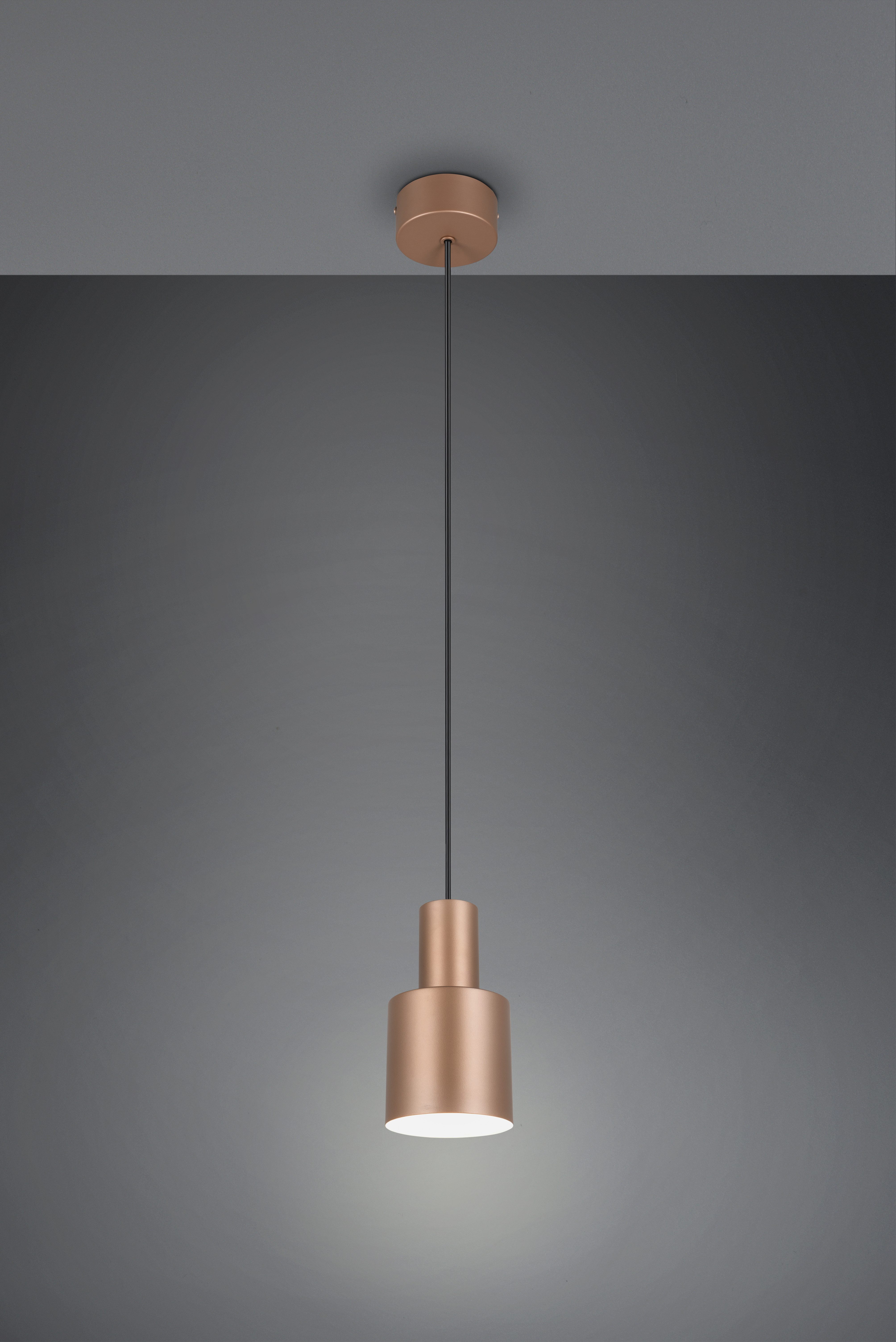 TRIO Leuchten Pendelleuchte AGUDO, Hängelampe 1-flammig, exkl 1xE27 max 10W, höhenverstellbar, Leuchtmittel wechselbar, warmweiß - kaltweiß, Hängelampe Ø 12cm, bis max 150cm Abhängung, Küche Esszimmer Wohnzimmer