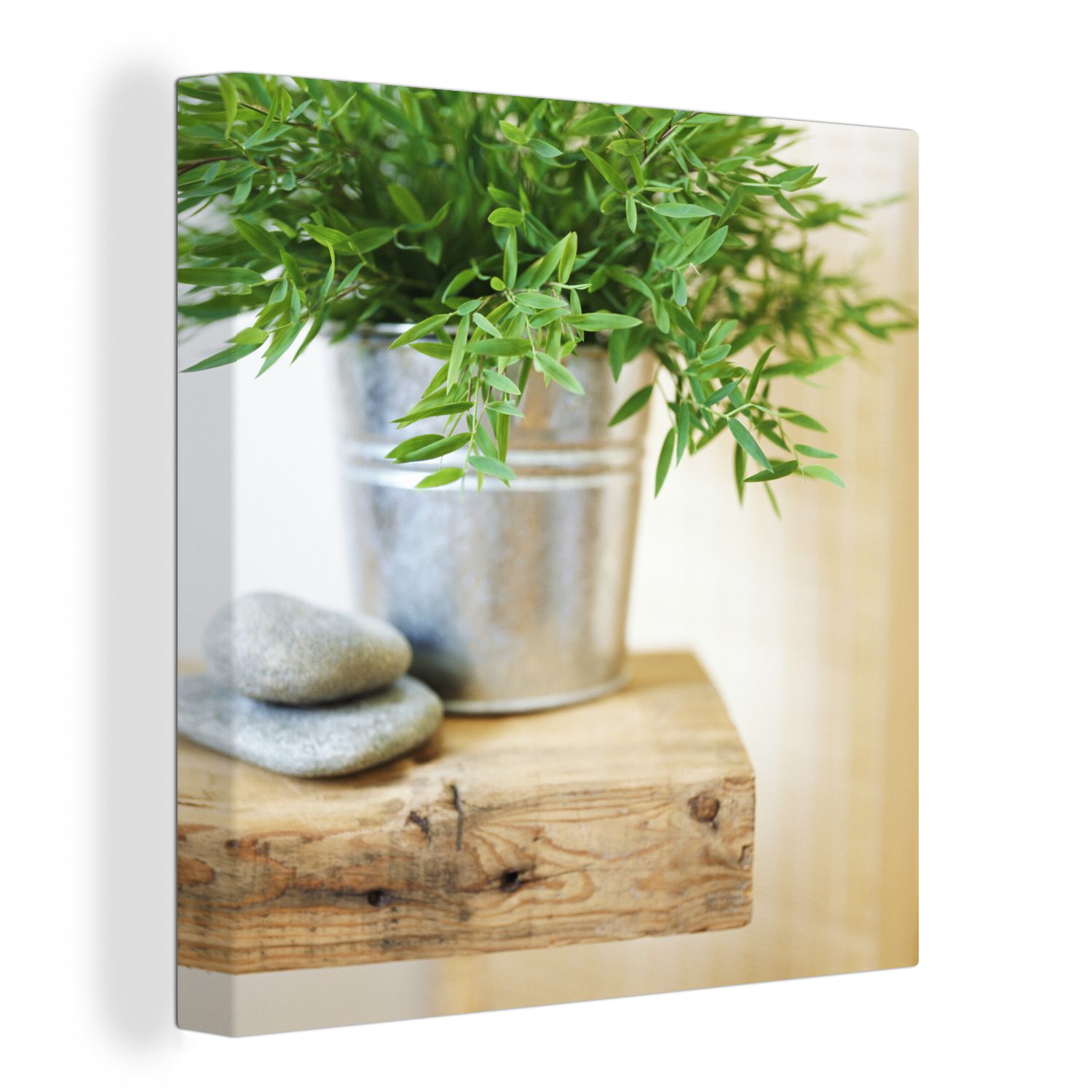OneMillionCanvasses® Leinwandbild Metallbehälter mit Estragonpflanzen auf einem Holztisch, (1 St), Leinwand Bilder für Wohnzimmer Schlafzimmer