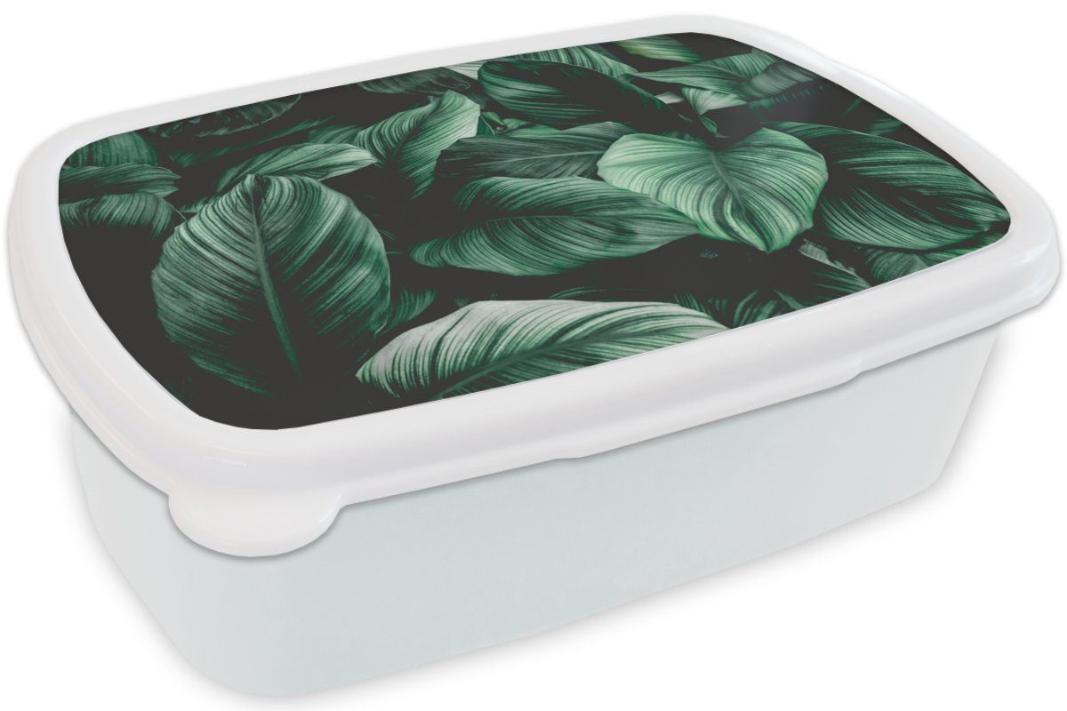 Lunchbox weiß und Brotdose, Blätter Kinder - für und - - Jungs Tropisch Erwachsene, MuchoWow für Dschungel (2-tlg), Mädchen Kunststoff, Brotbox - Natur, Pflanzen