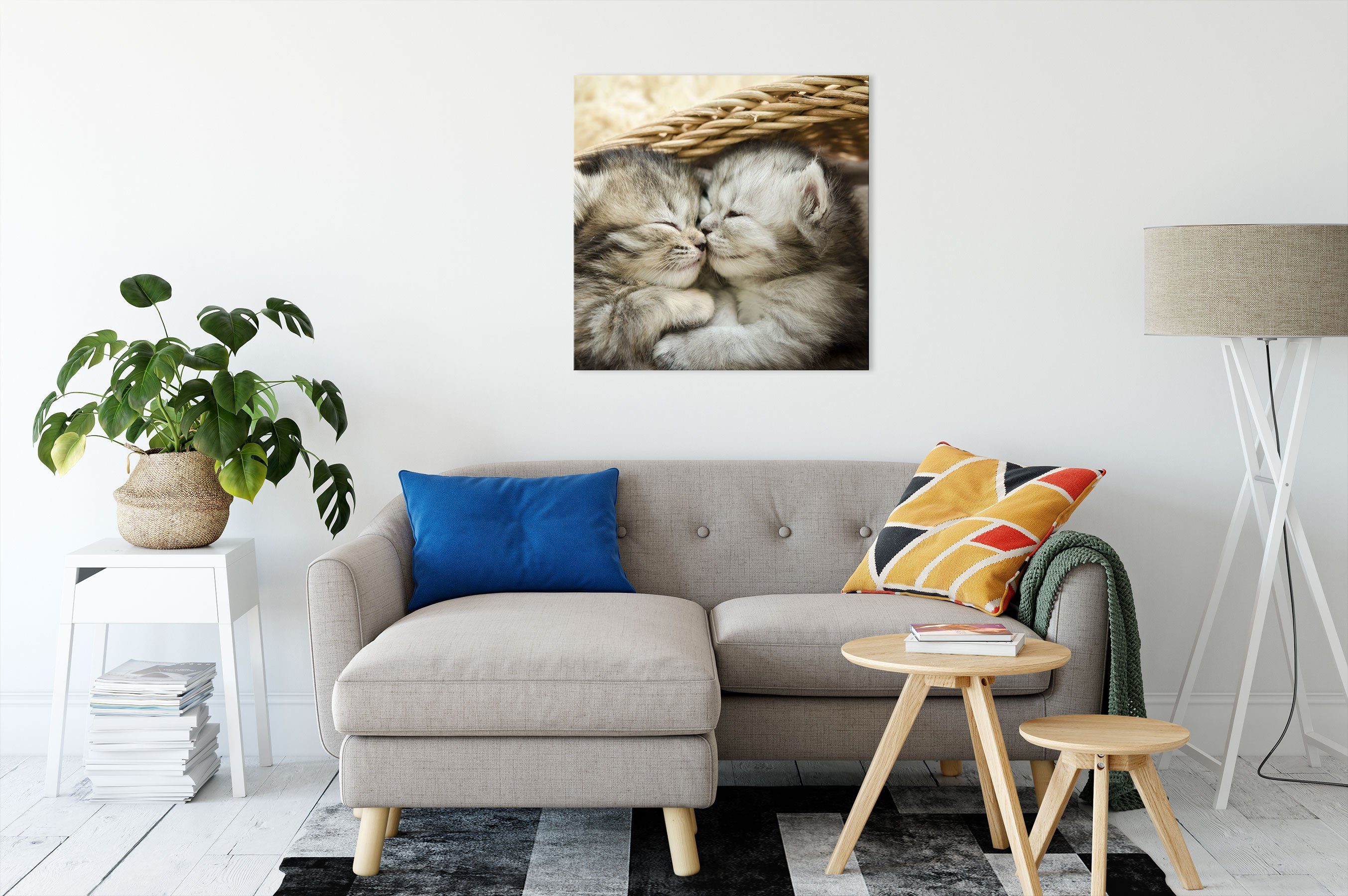 St), Leinwandbild fertig (1 Baby bespannt, Leinwandbild Pixxprint Katze, Katze Baby Zackenaufhänger inkl.