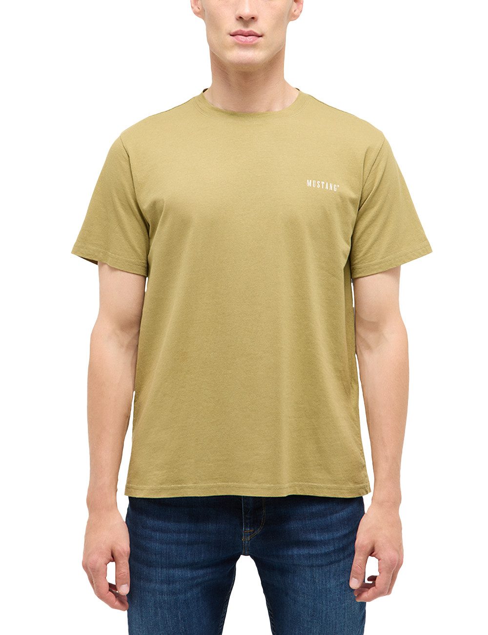 Kurzarmshirt Herren Style Austin