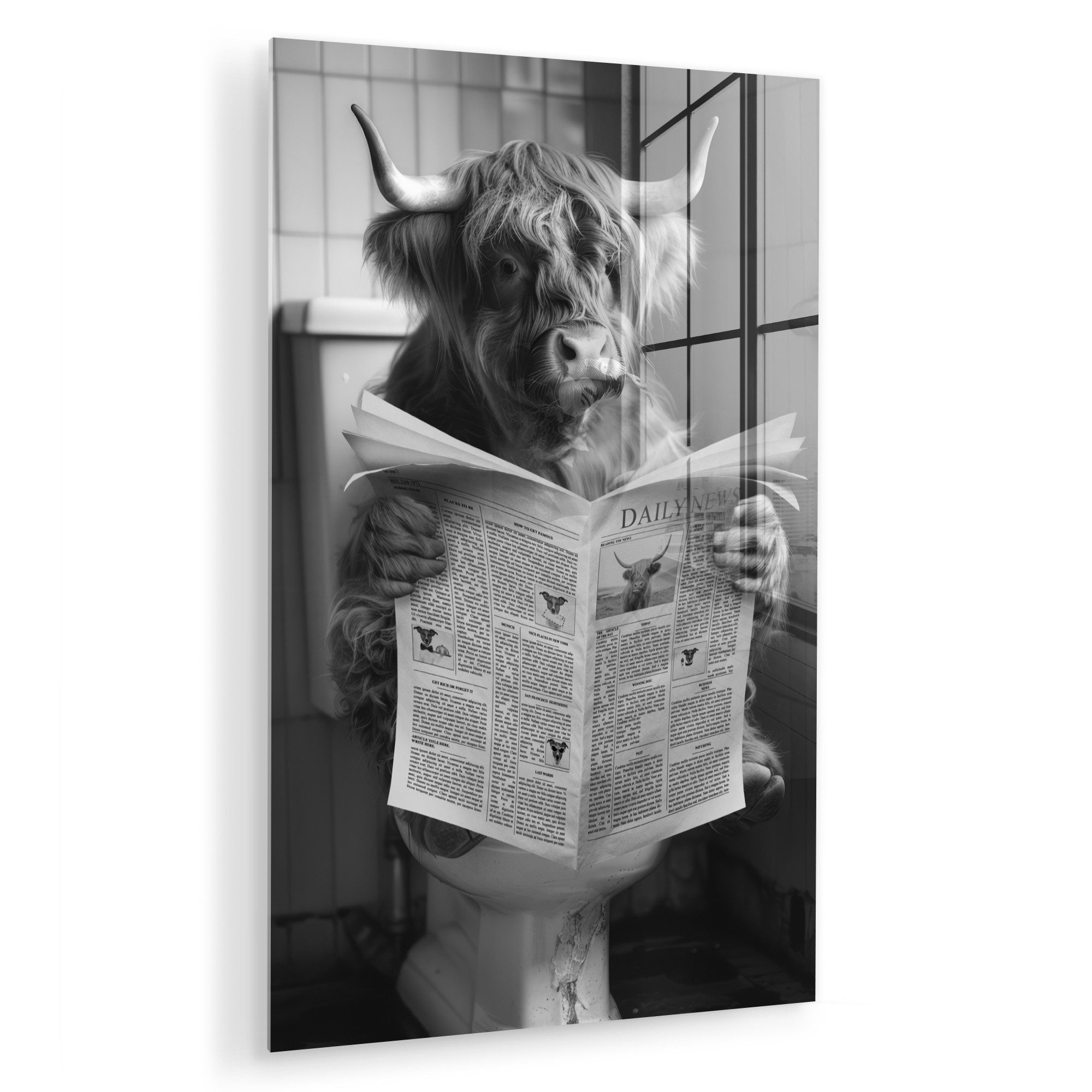 MuchoWow Acrylglasbild Schottischer Highlander - Kuh günstig online kaufen