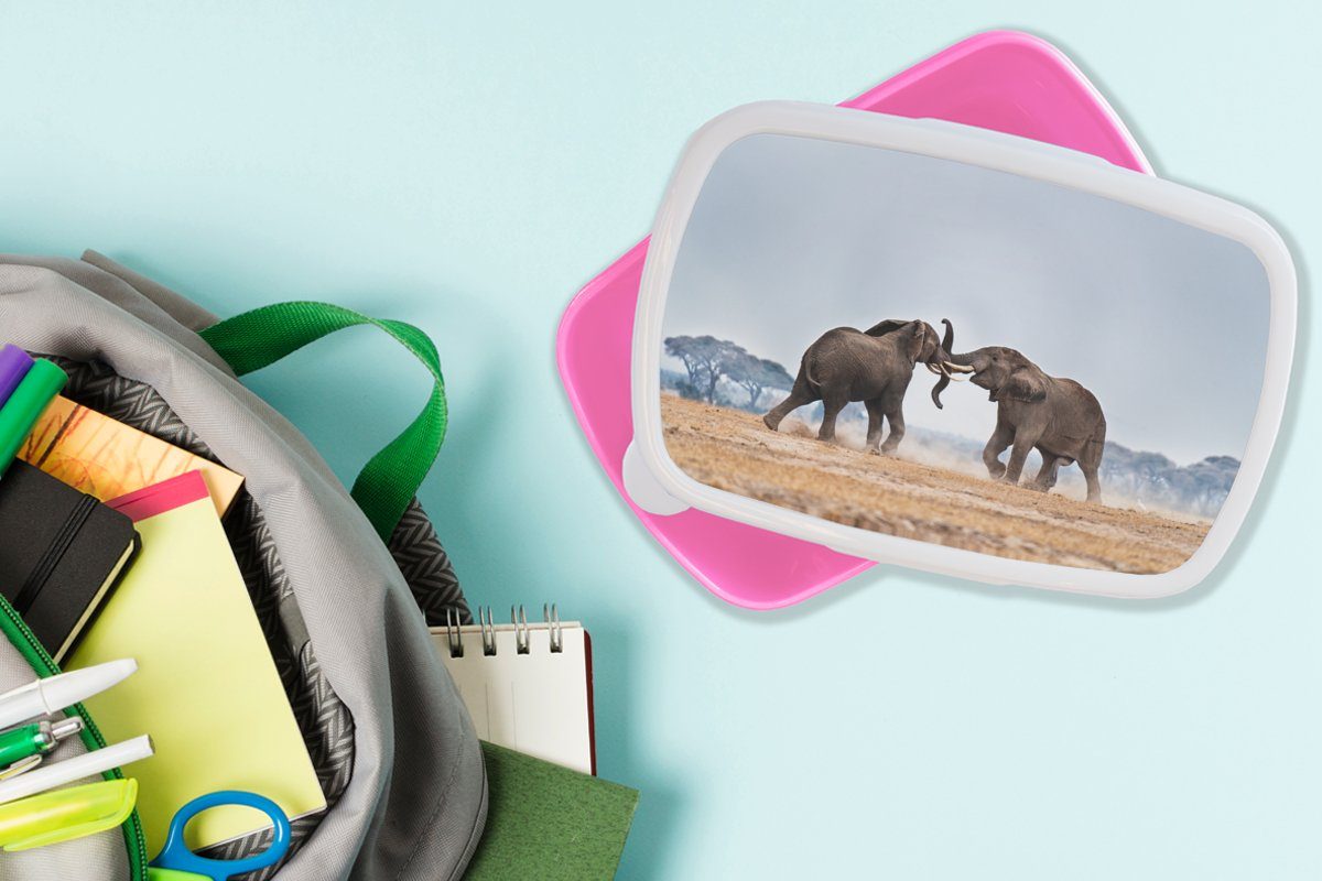 MuchoWow Kunststoff Erwachsene, Mädchen, - Natur, Tiere Flachland - Snackbox, Elefant Lunchbox rosa Brotdose Brotbox - (2-tlg), Kinder, Kunststoff, für