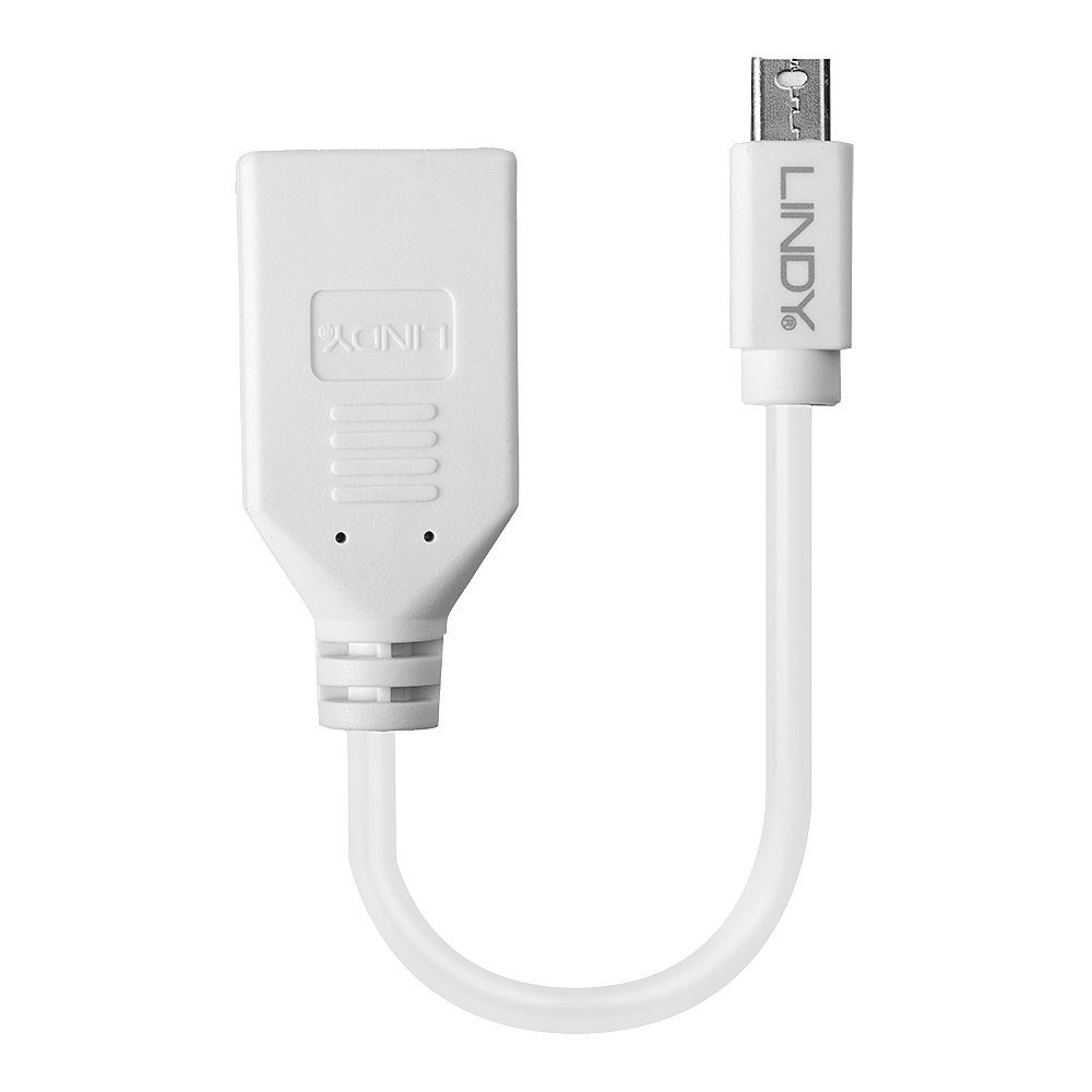 Lindy Adapter