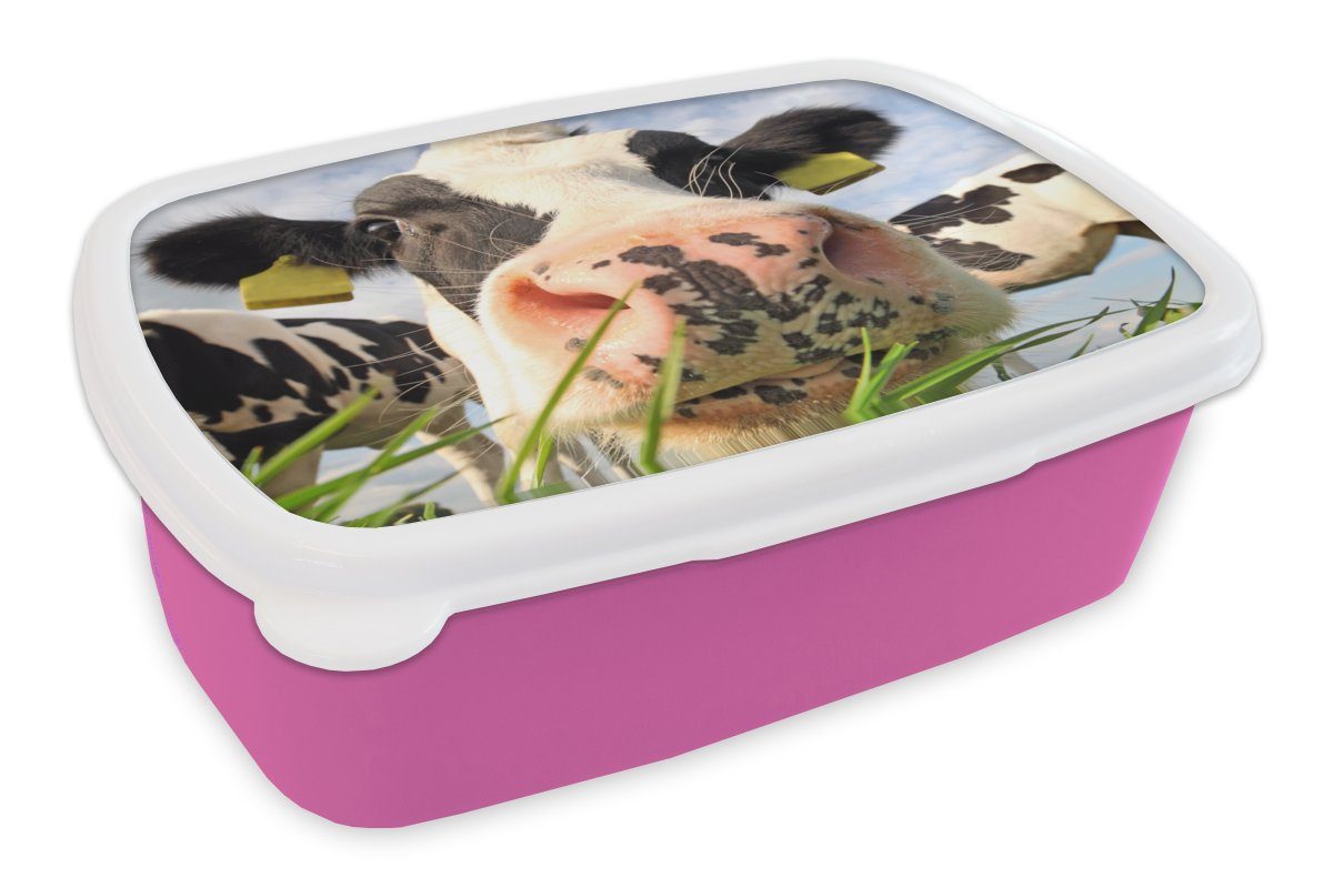 Brotbox - Mädchen, Kunststoff Kunststoff, Tiere, rosa für Kuh (2-tlg), Kinder, Brotdose - Erwachsene, Snackbox, Bauernhof MuchoWow Gras Lunchbox -
