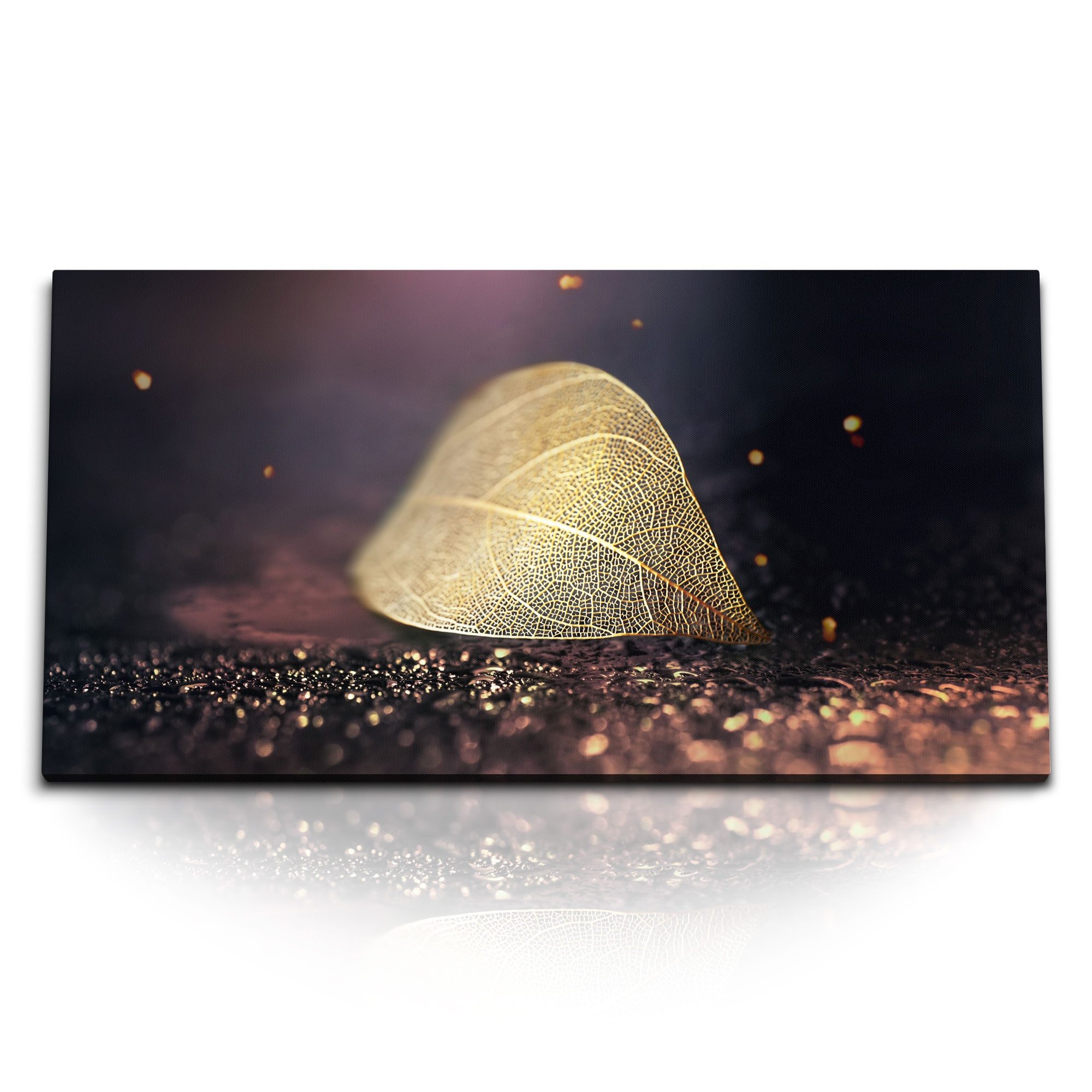 Leinwandbild Kunstdruck Bilder 120x60cm Fotokunst Pflanzenblatt Kunstvoll Herbstbla