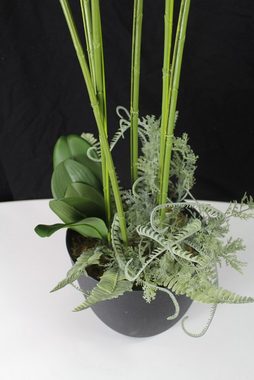 Kunstorchidee Kunstpflanze KP8100 Orchidee Weiß, Arnusa, Höhe 110 cm, XXL fertig im Topf