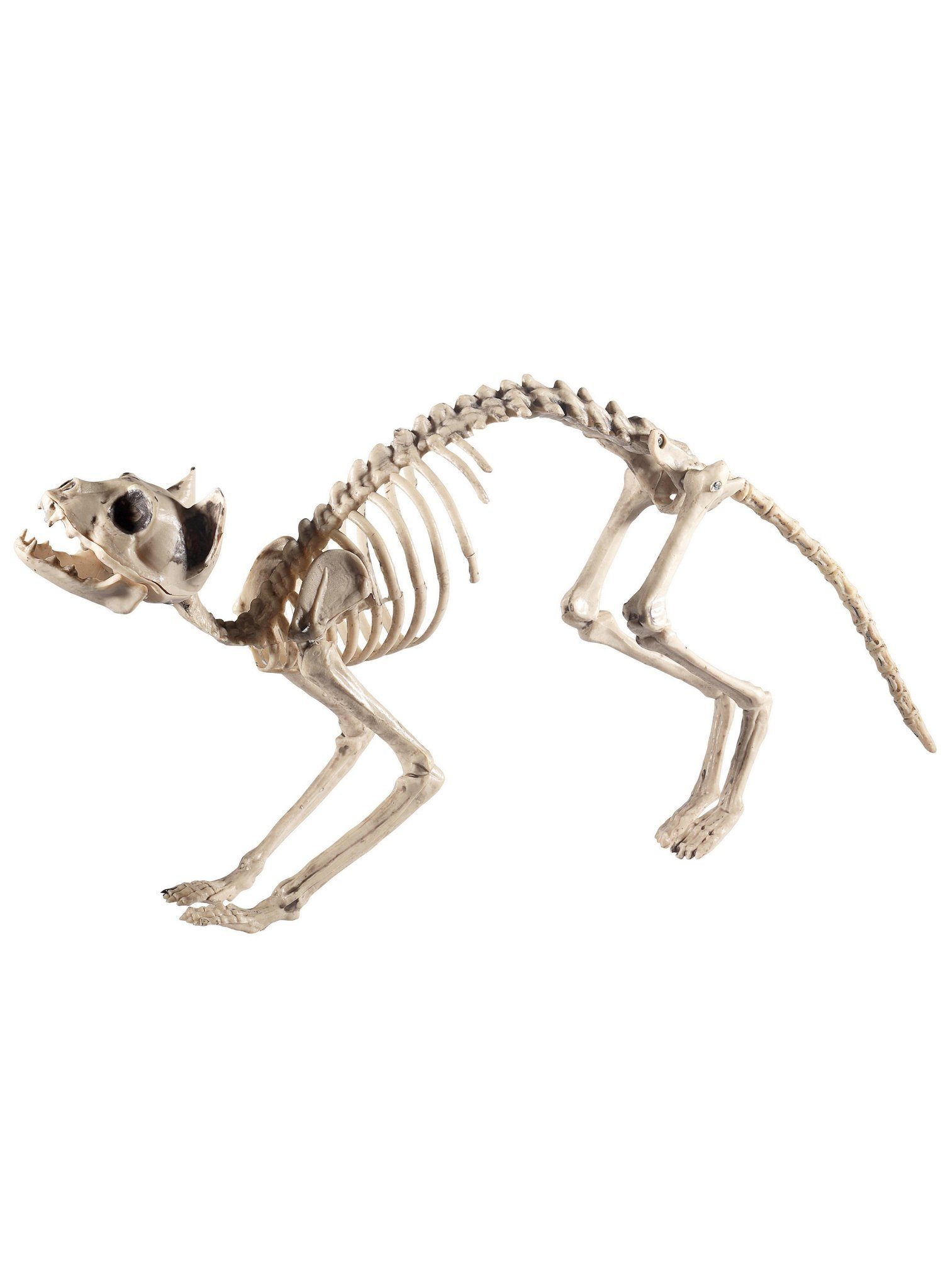 Smiffys Dekofigur Skelett Katzengerippe - Horror Halloween Deko, Cat Conten günstig online kaufen