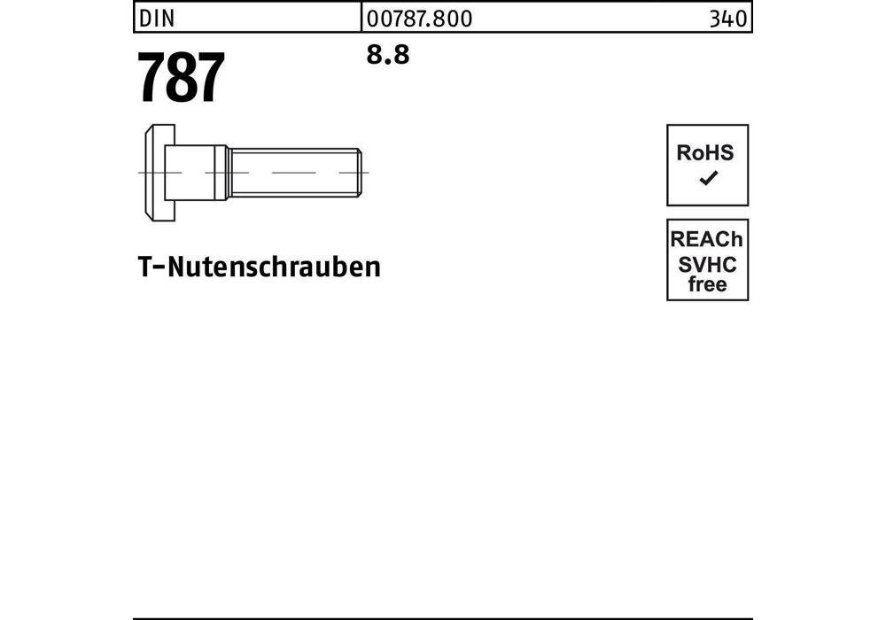 18 DIN 787 16 T-Nutenschraube Gewindeschraube 8.8 M 63 x