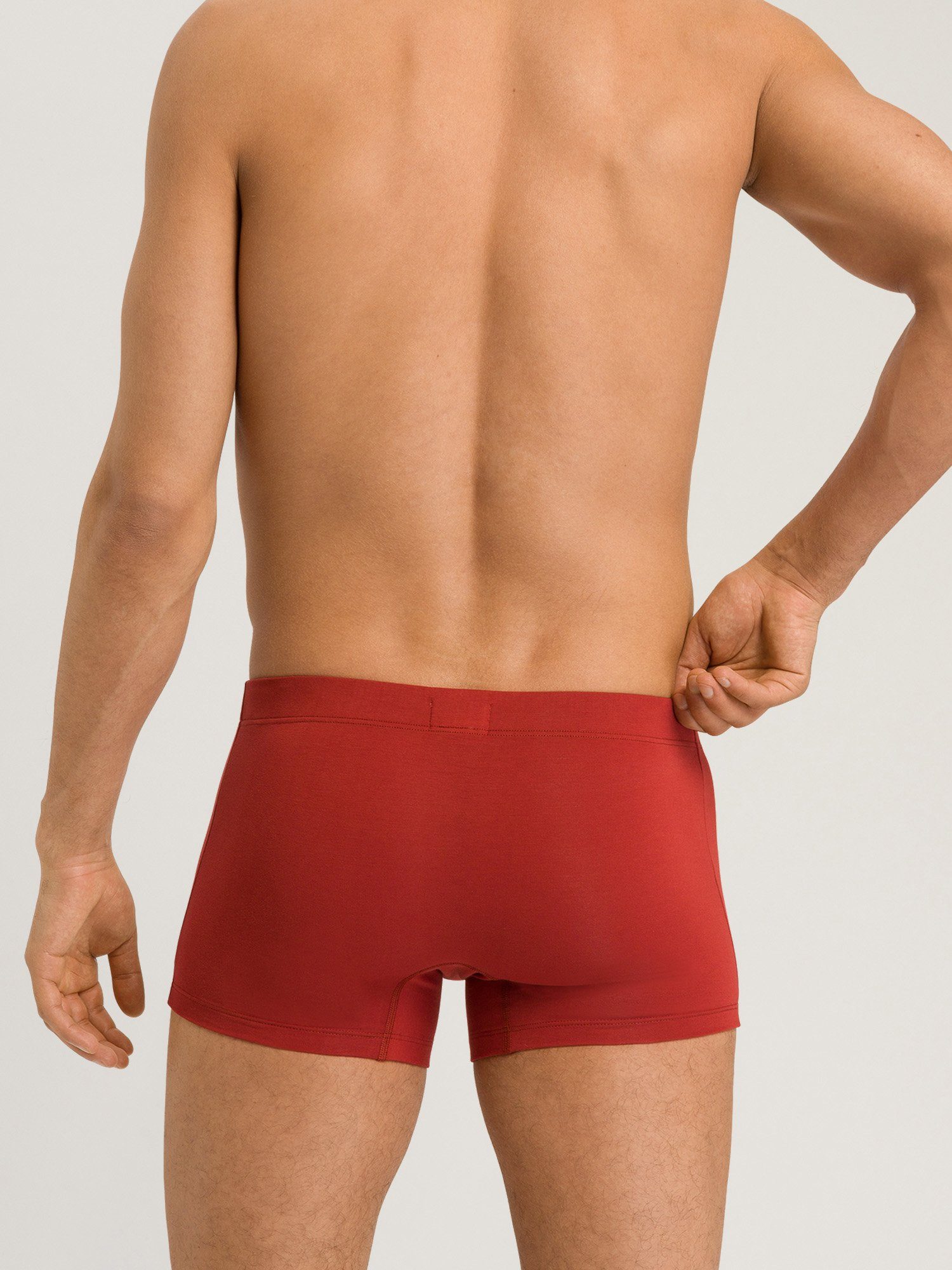 2-Pack ochre/fresh Hanro Pants Retro Essentials Cotton grey (2-St) red
