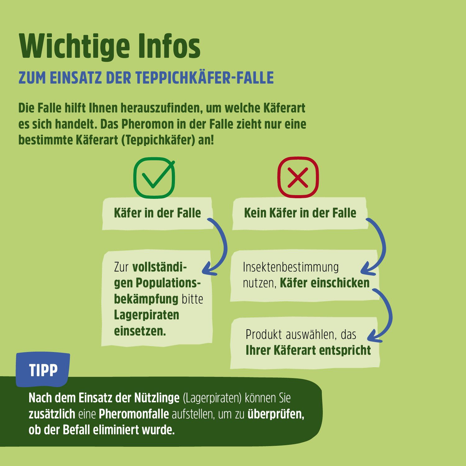 Futura-Shop Insektenfalle Teppichkäferfalle giftfreie Pheromonfalle - insektizidfrei, geruchsneutral