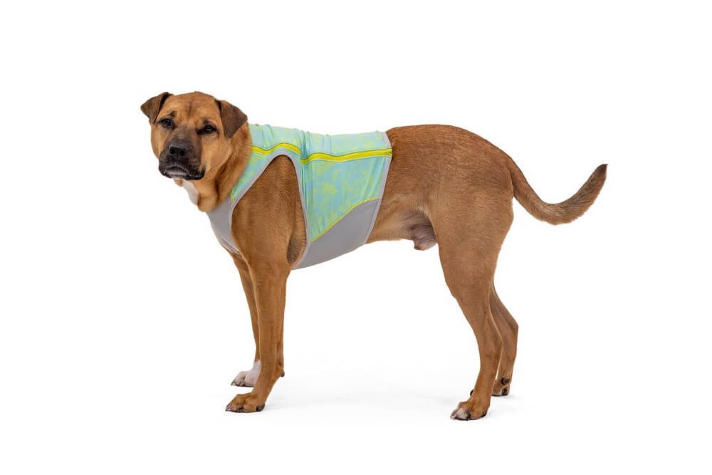 Thumbnail - Ruffwear Hundemantel Swamp Cooler Zip Vest