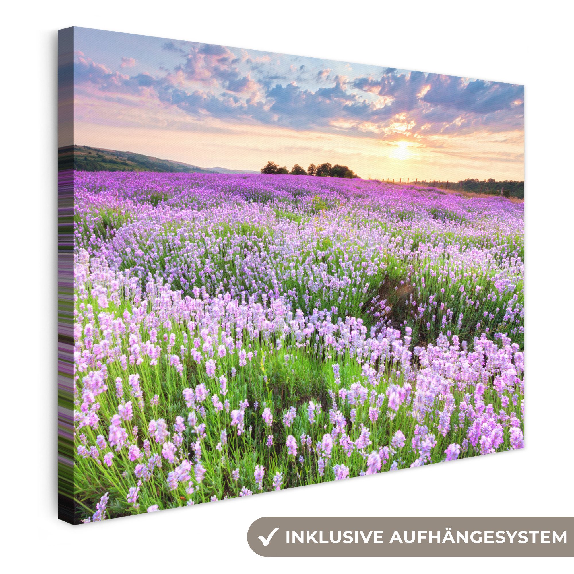 OneMillionCanvasses® Leinwandbild Lavendel - Blumen - Sonnenuntergang - Lila - Wiese, Fotodruck (1 St), Wandbild Leinwandbilder, Aufhängefertig, Wanddeko 40x30 cm