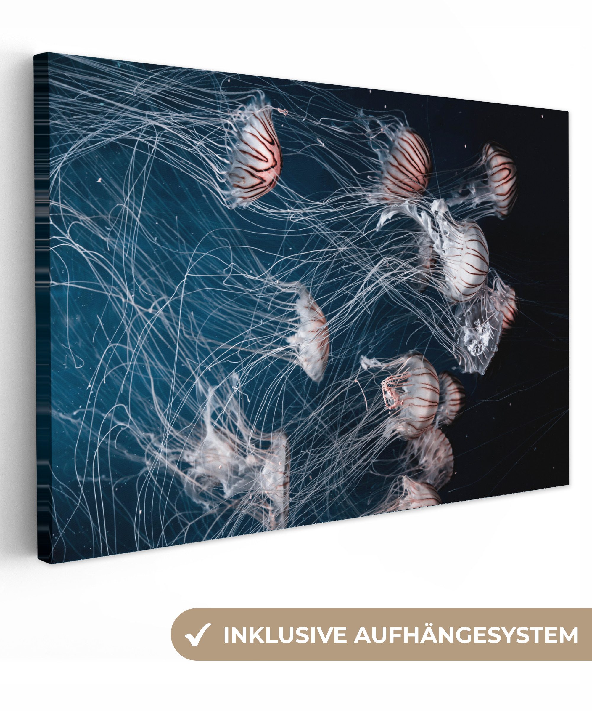 OneMillionCanvasses® Leinwandbild Meerestiere - Quallen - Wasser, Fotodruck (1 St), Leinwand Bilder Klein, Wand Dekoration Aesthetic 30x20 cm