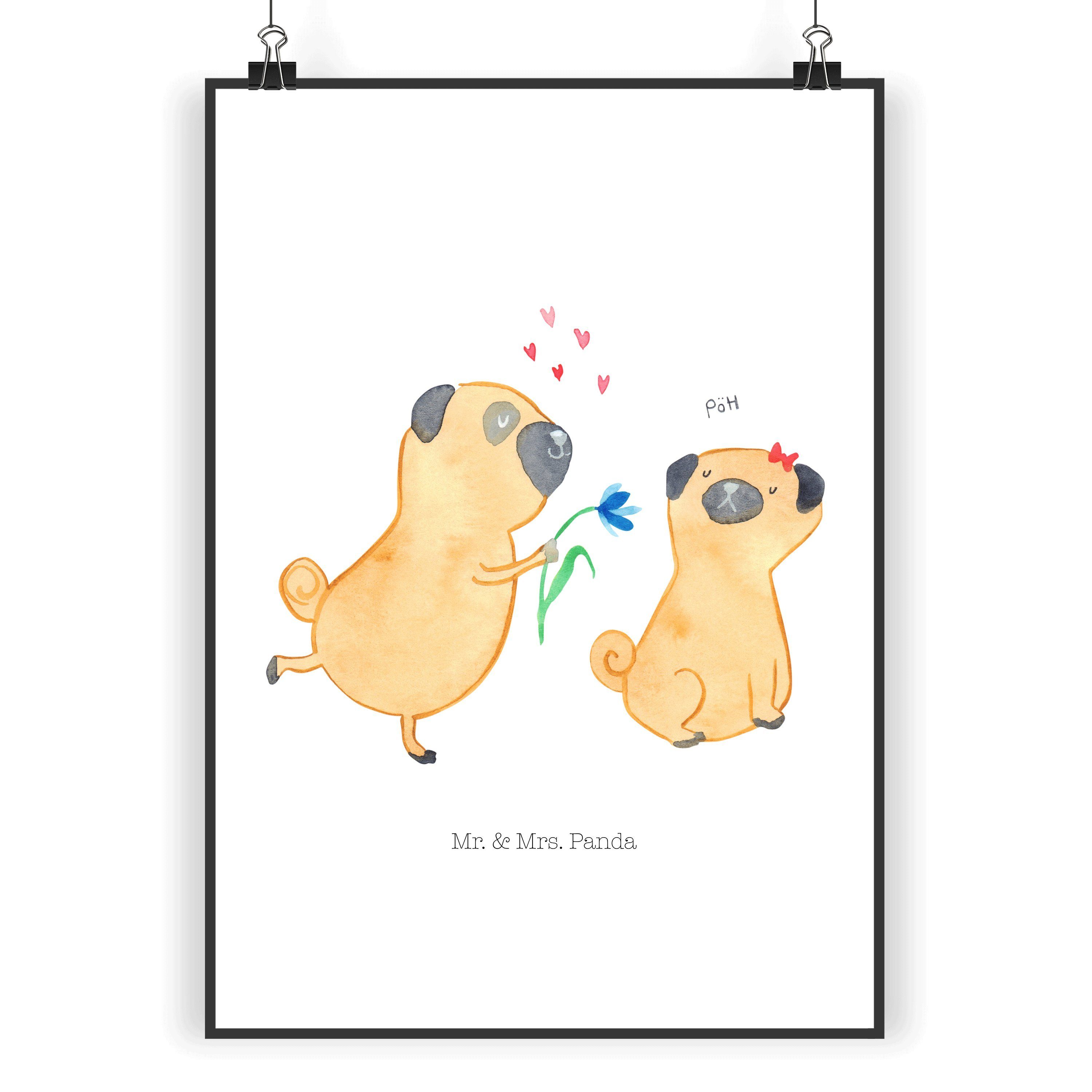 Poster DIN A3 Mops verliebt - Weiß - Geschenk, Hunderasse, Hundemotiv, Wandd