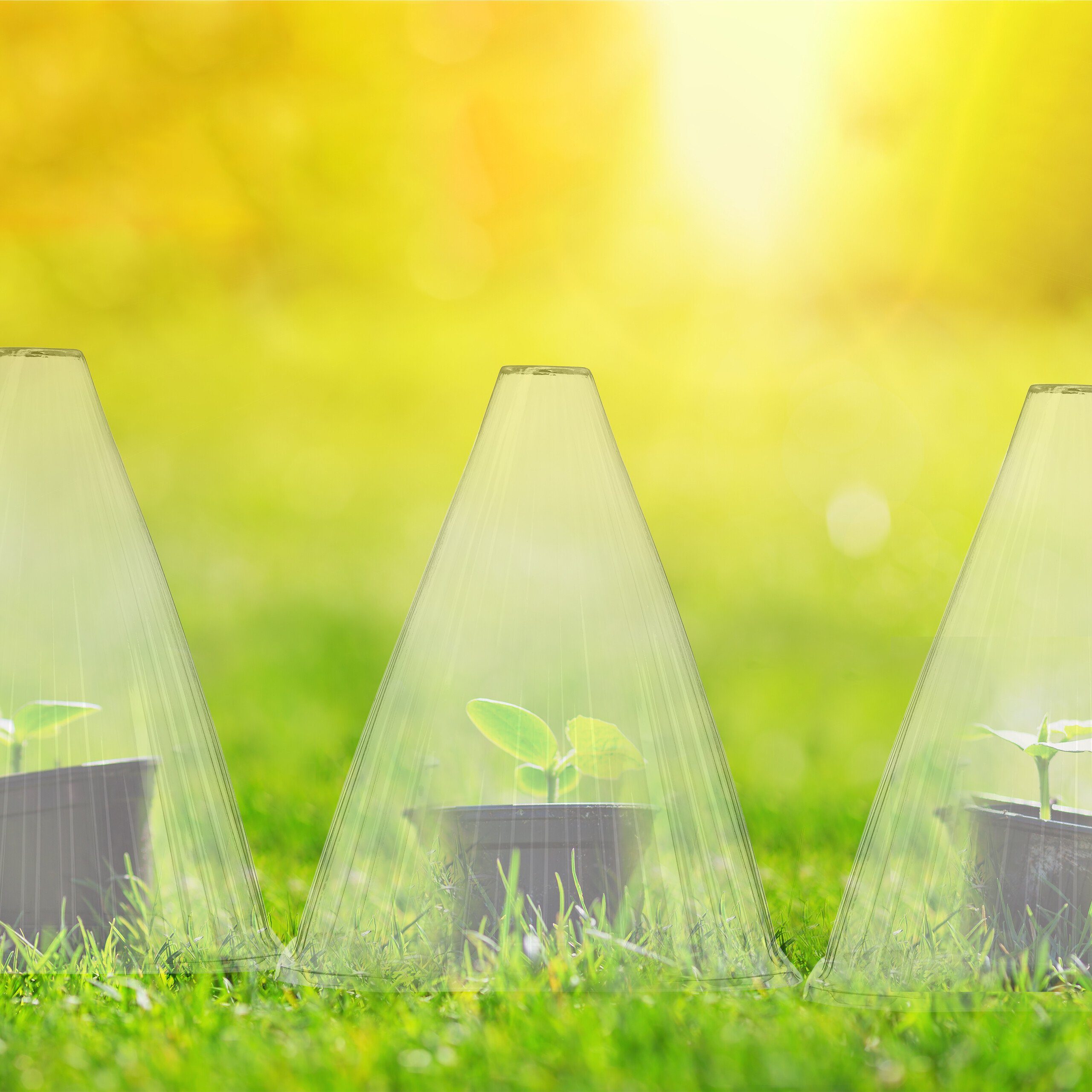 relaxdays Pflanzenschutzdach Transparenter Pflanzenhut im 32er Set